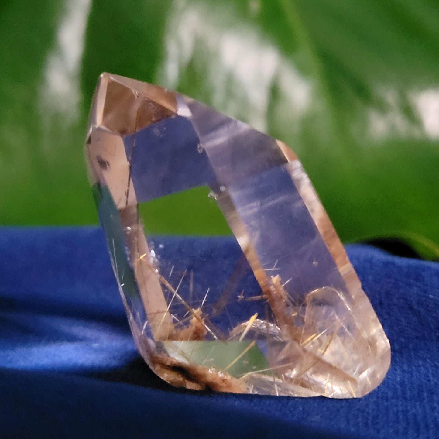 AAA Grade High Quality Gold Rutile & Lodolite Quartz Crystal from Brazil | Gorgeous Unique Crystal Collector Gift | Love Energy | 30g