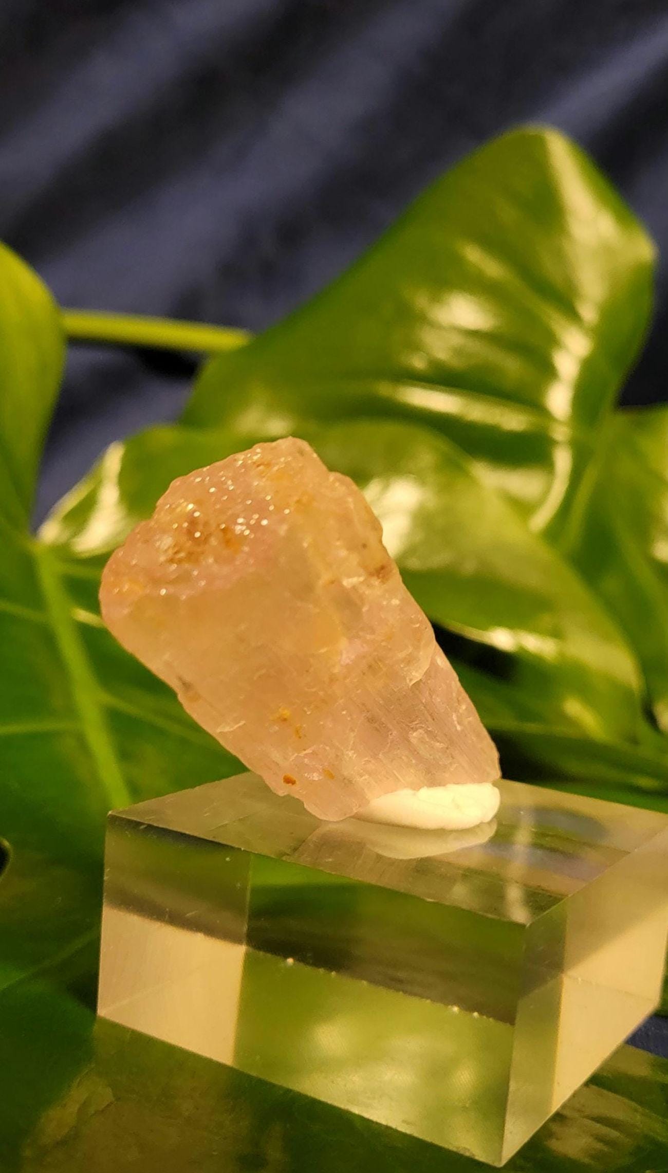 Etched & Translucent Gemmy Pink Kunzite | AAA Grade Crystal Specimen for Collectors | Heart Chakra | Love Gift Idea | Gorgeously Pink | 43g