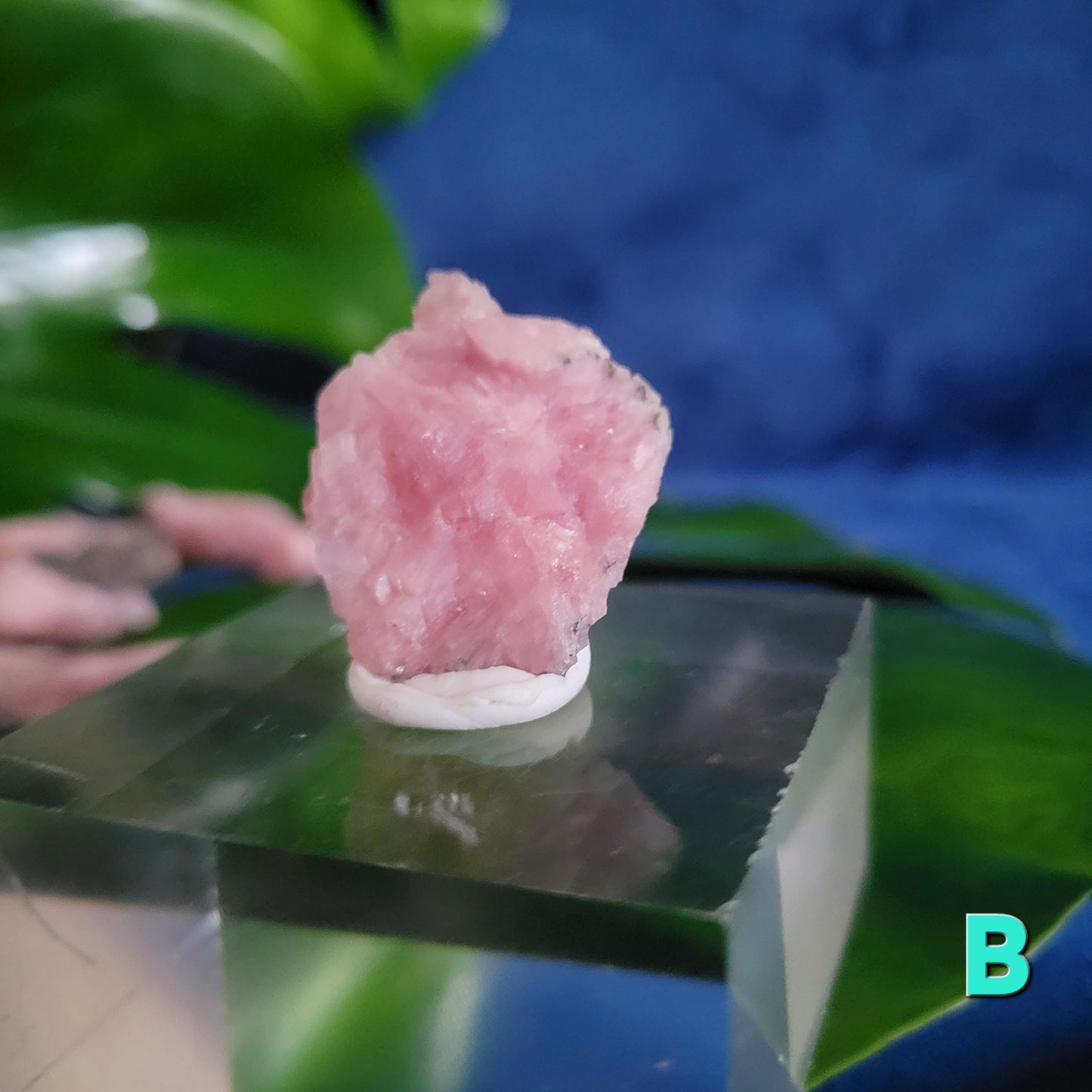 Rhodochrosite Specimens | Manifest Joy and Self-Love | Gifts for Crystal and Mineral Collectors | Hearth Chakra | Pastel Pink Love Gems