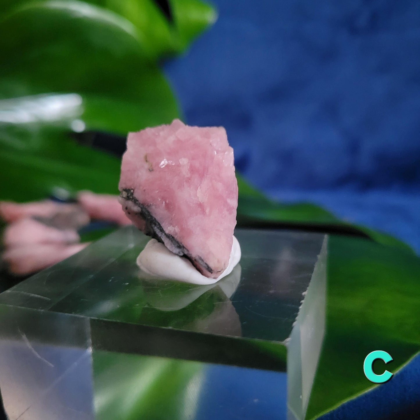 Rhodochrosite Specimens | Manifest Joy and Self-Love | Gifts for Crystal and Mineral Collectors | Hearth Chakra | Pastel Pink Love Gems