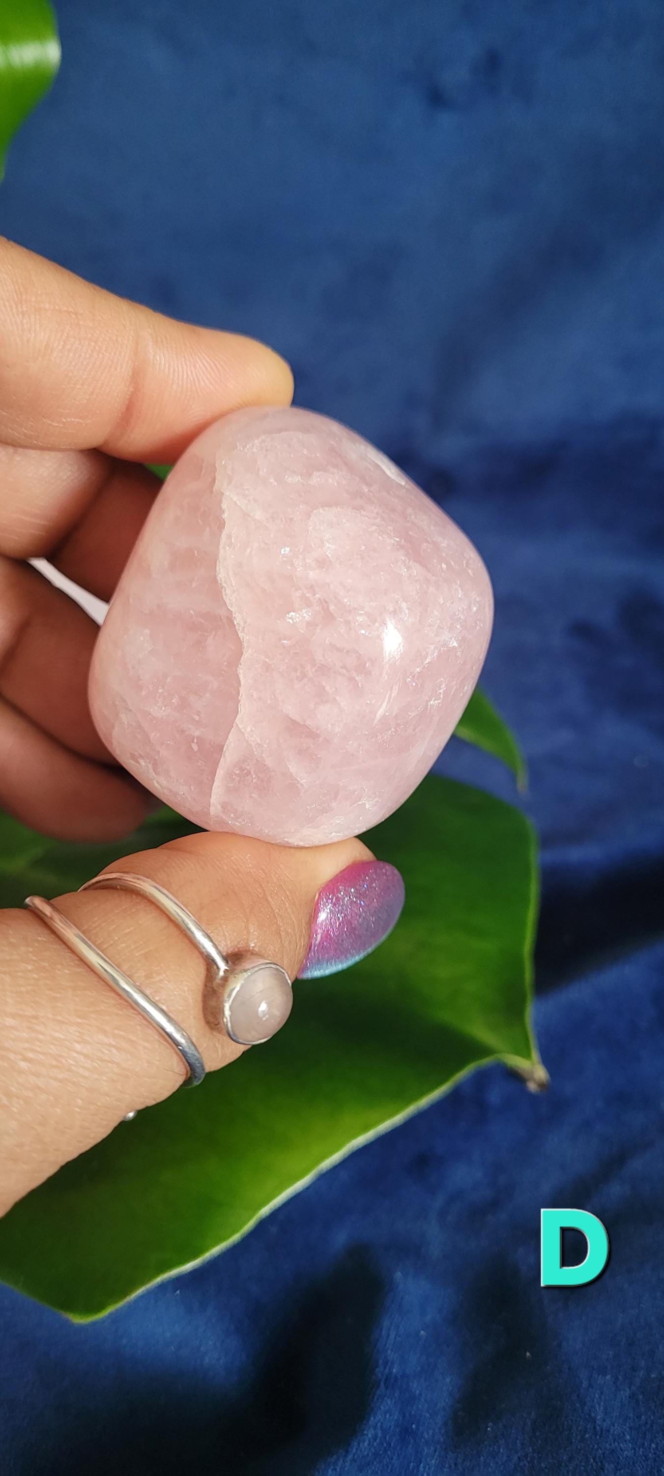 XL Rose Quartz Palmstones | Meditation Tool | Love Stone | Heart Chakra | Cute Home Decor | Gift Ideas for Crystal Collectors | Pastel Pink
