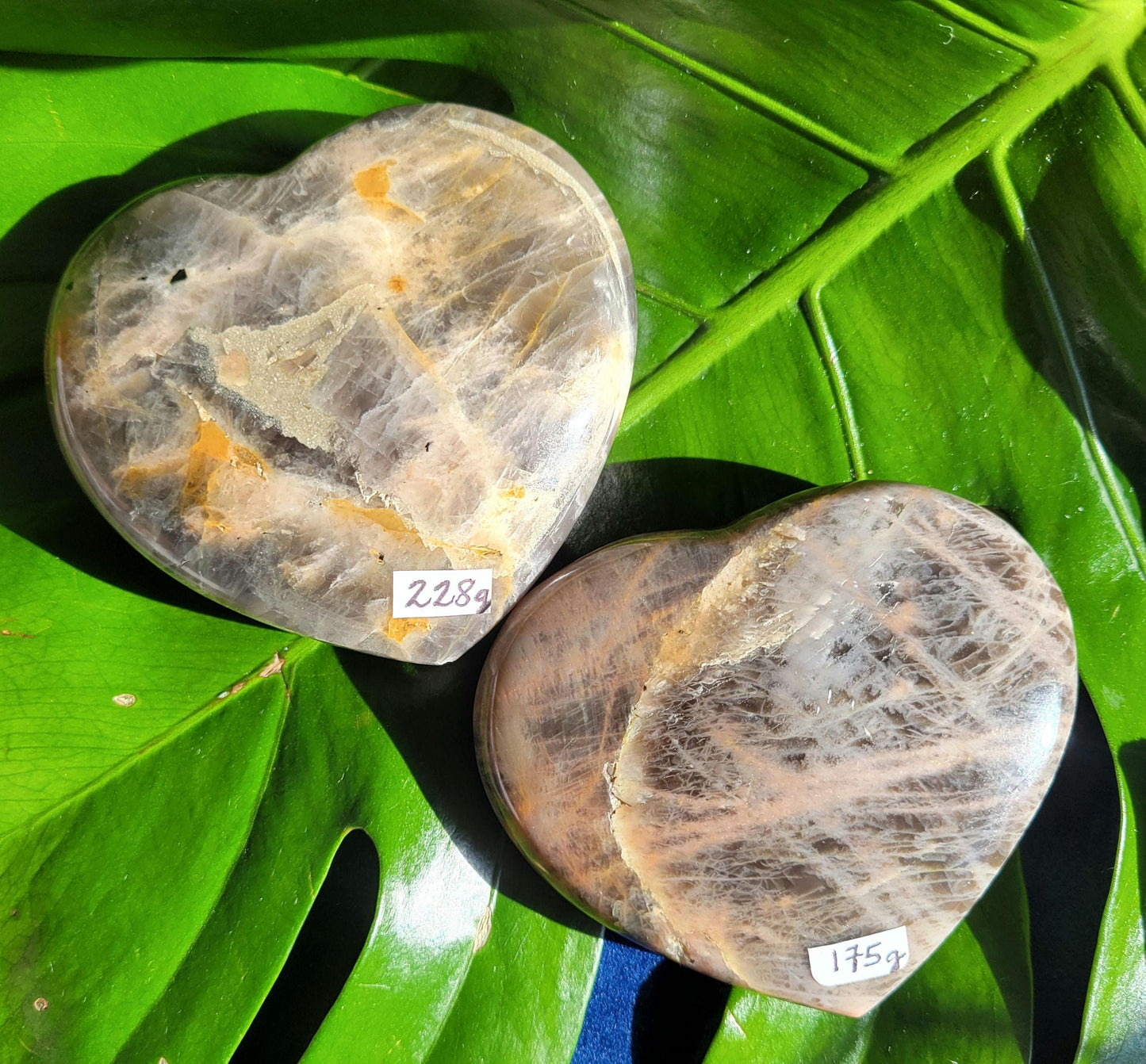 Black Moonstone | Puffy Heart Carvings | Crystal Collector | Home Decor | Birthday Valentines Day Love Gift | Crown Chakra | 175g & 228g