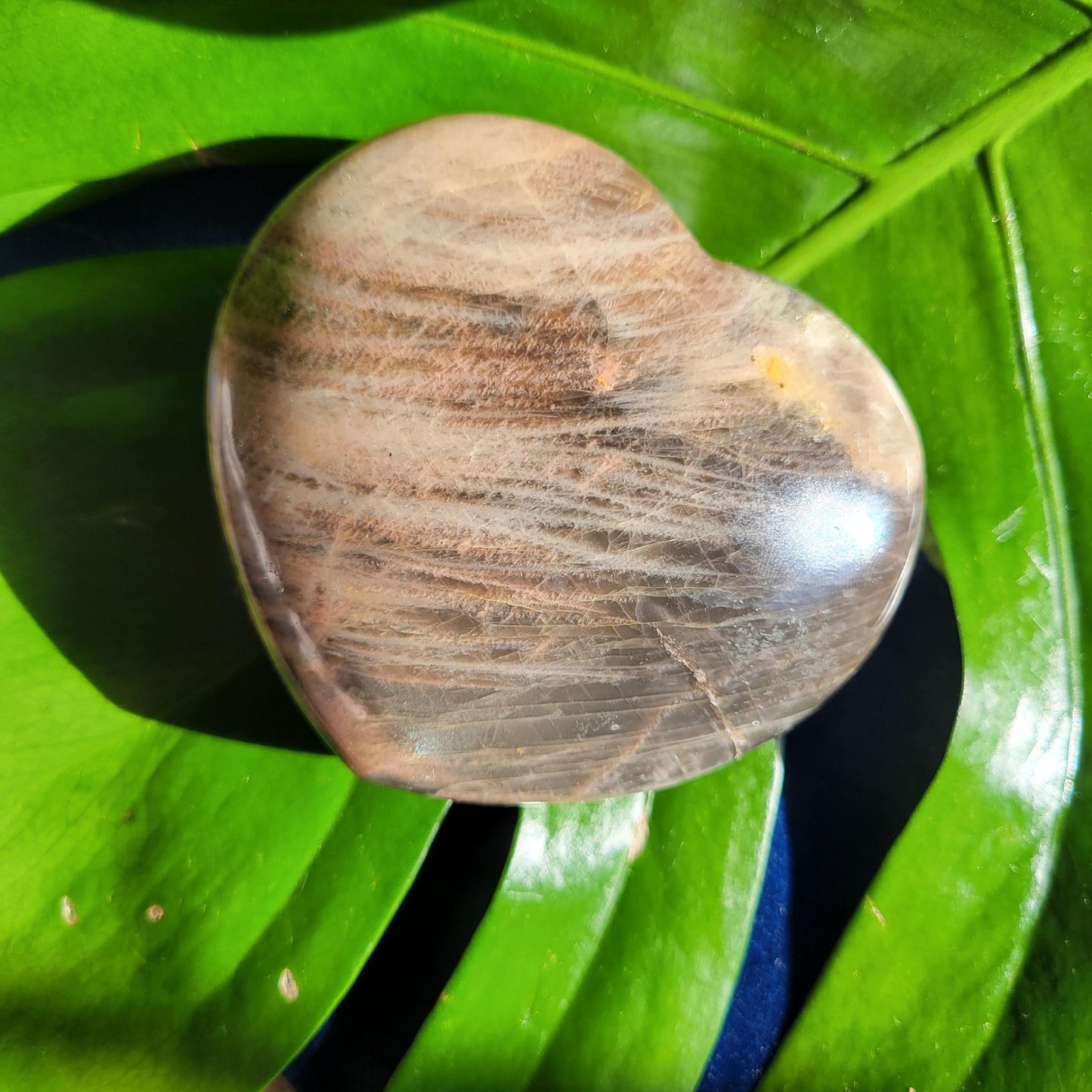 Black Moonstone | Puffy Heart Carving with Stand | Crystal Collector | Home Decor | Birthday Valentines Day Love Gift | Crown Chakra | 348g