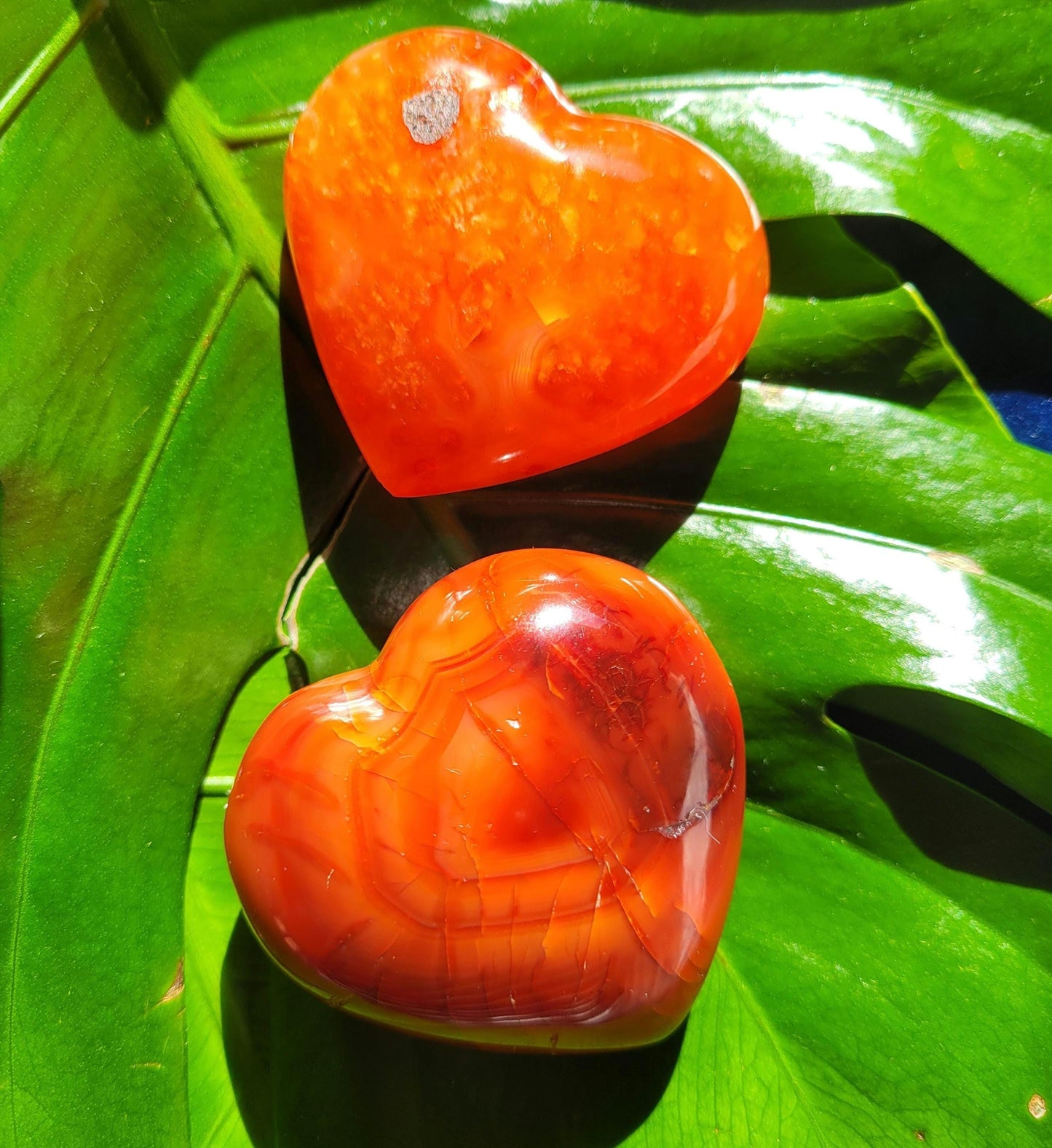 Puffy Carnelian Crystal Hearts | Meditation Tools | Crystal Collector | Home Office Decor | Valentines Day Love Gift | Root & Sacral Chakra