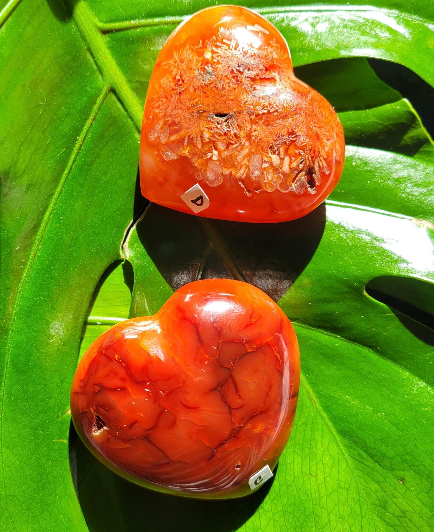 Puffy Carnelian Crystal Hearts | Meditation Tools | Crystal Collector | Home Office Decor | Valentines Day Love Gift | Root & Sacral Chakra
