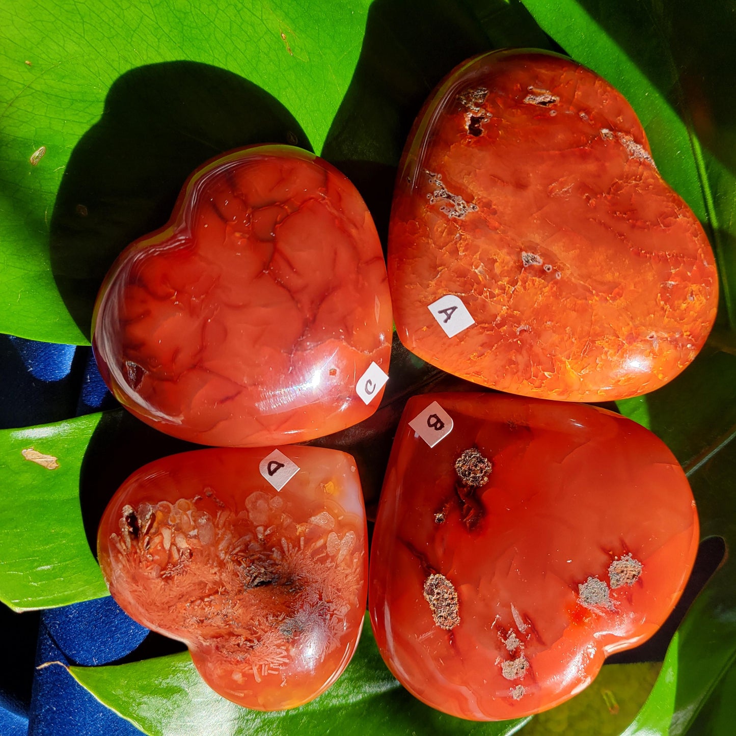 Puffy Carnelian Crystal Hearts | Meditation Tools | Crystal Collector | Home Office Decor | Valentines Day Love Gift | Root & Sacral Chakra