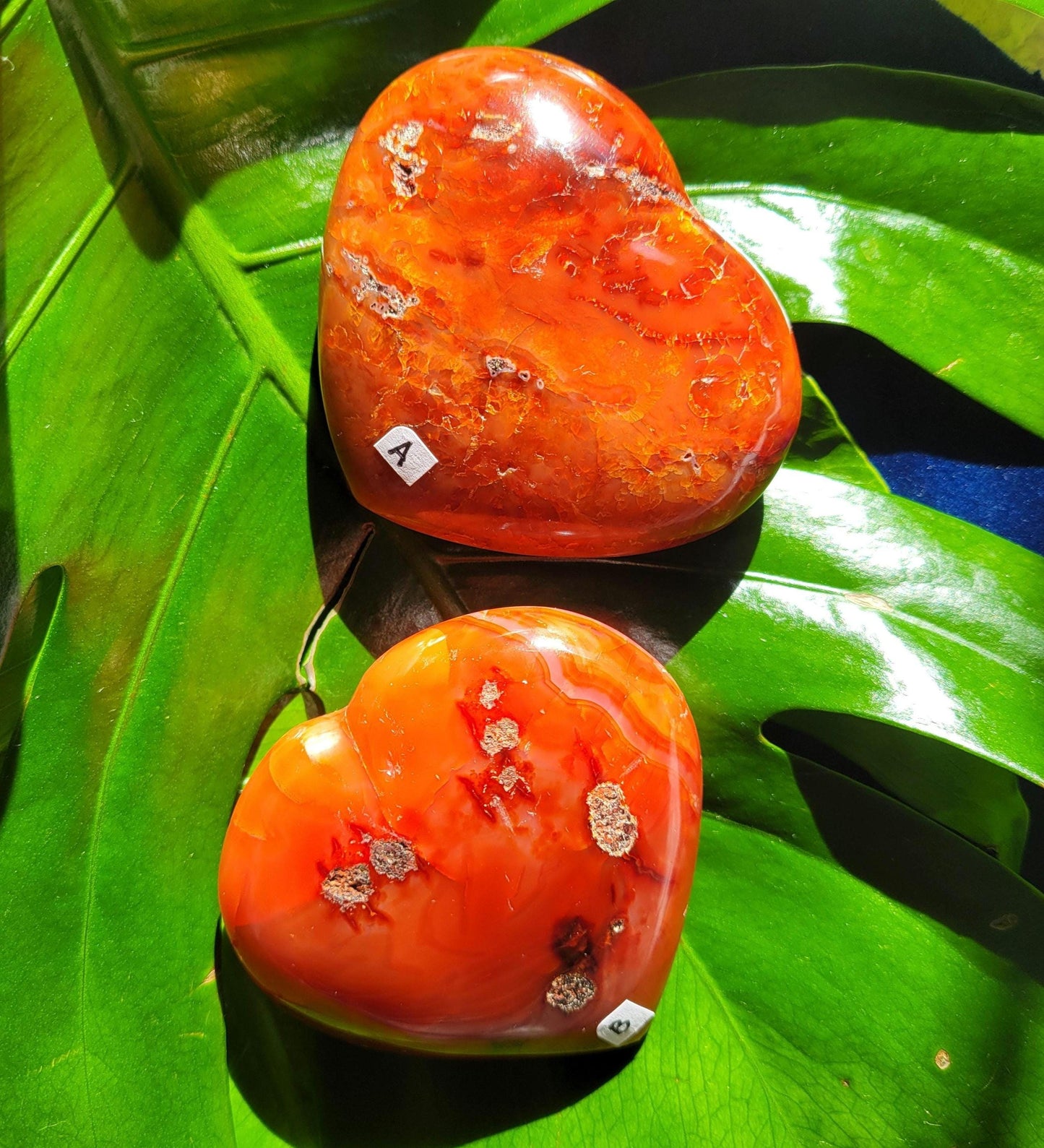 Puffy Carnelian Crystal Hearts | Meditation Tools | Crystal Collector | Home Office Decor | Valentines Day Love Gift | Root & Sacral Chakra