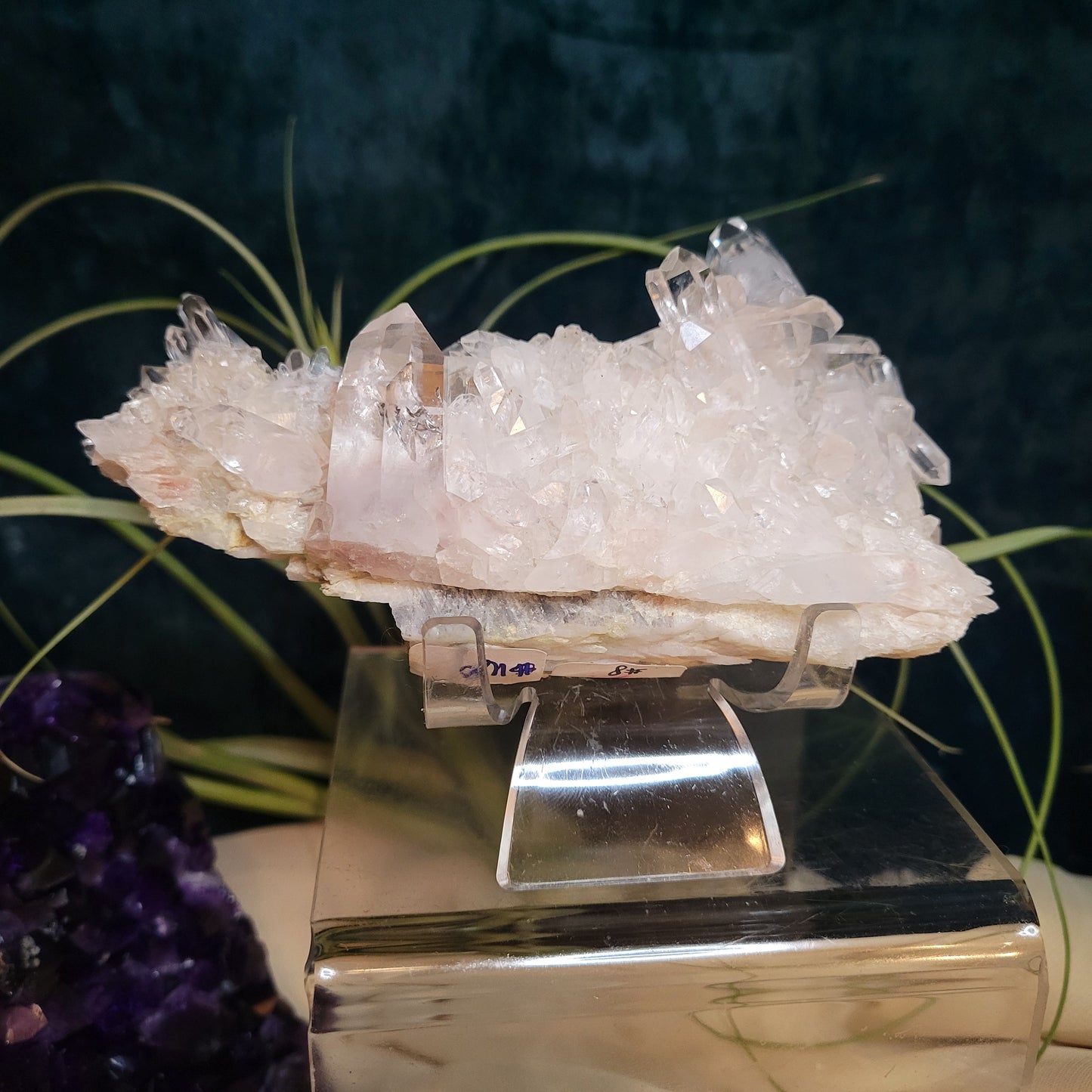 🌻Livestream Bundle for Deni G.🌻