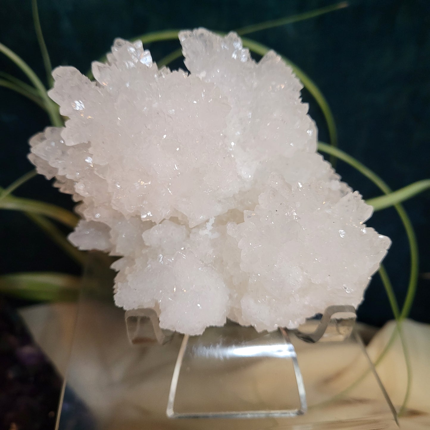 🌻Livestream Bundle for Deni G.🌻