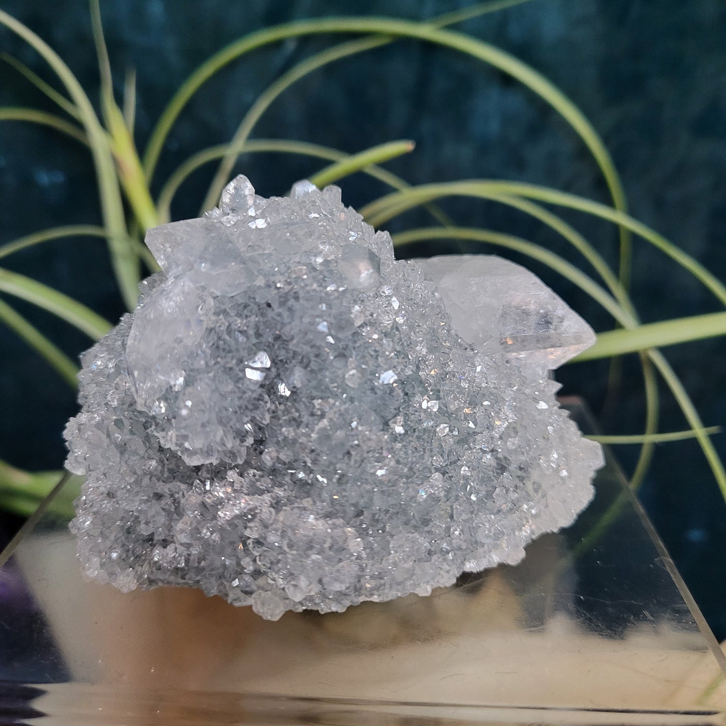 🌻Livestream Bundle for Deni G.🌻