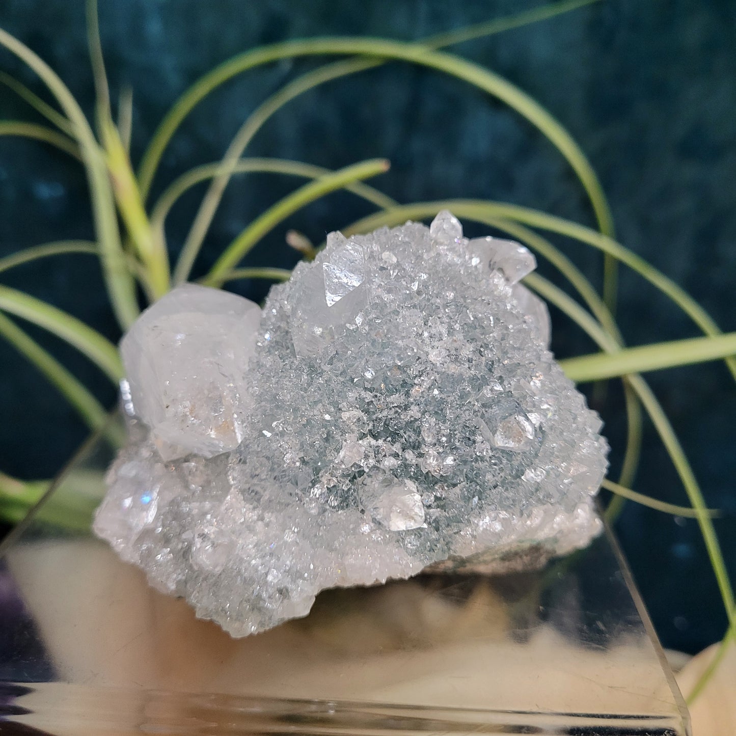 🌻Livestream Bundle for Deni G.🌻