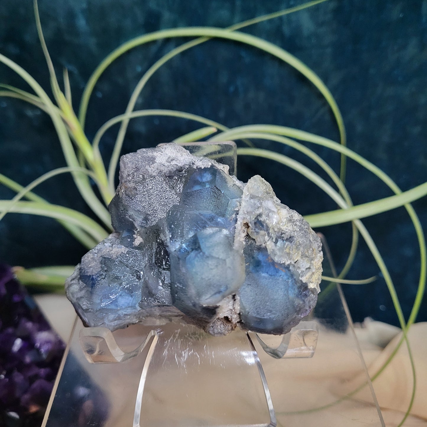 🌻Livestream Bundle for Deni G.🌻