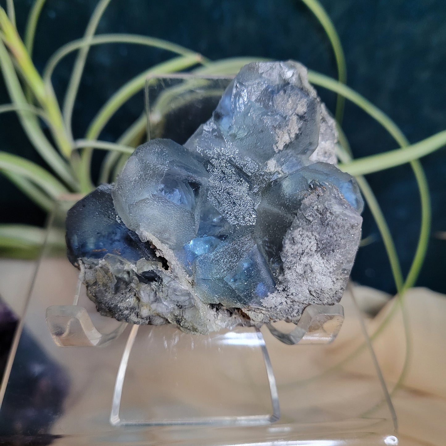 🌻Livestream Bundle for Deni G.🌻