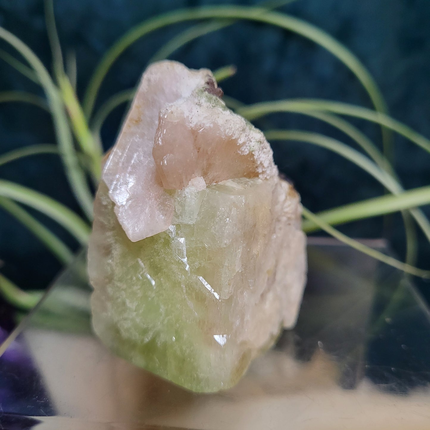 🌻Livestream Bundle for Deni G.🌻