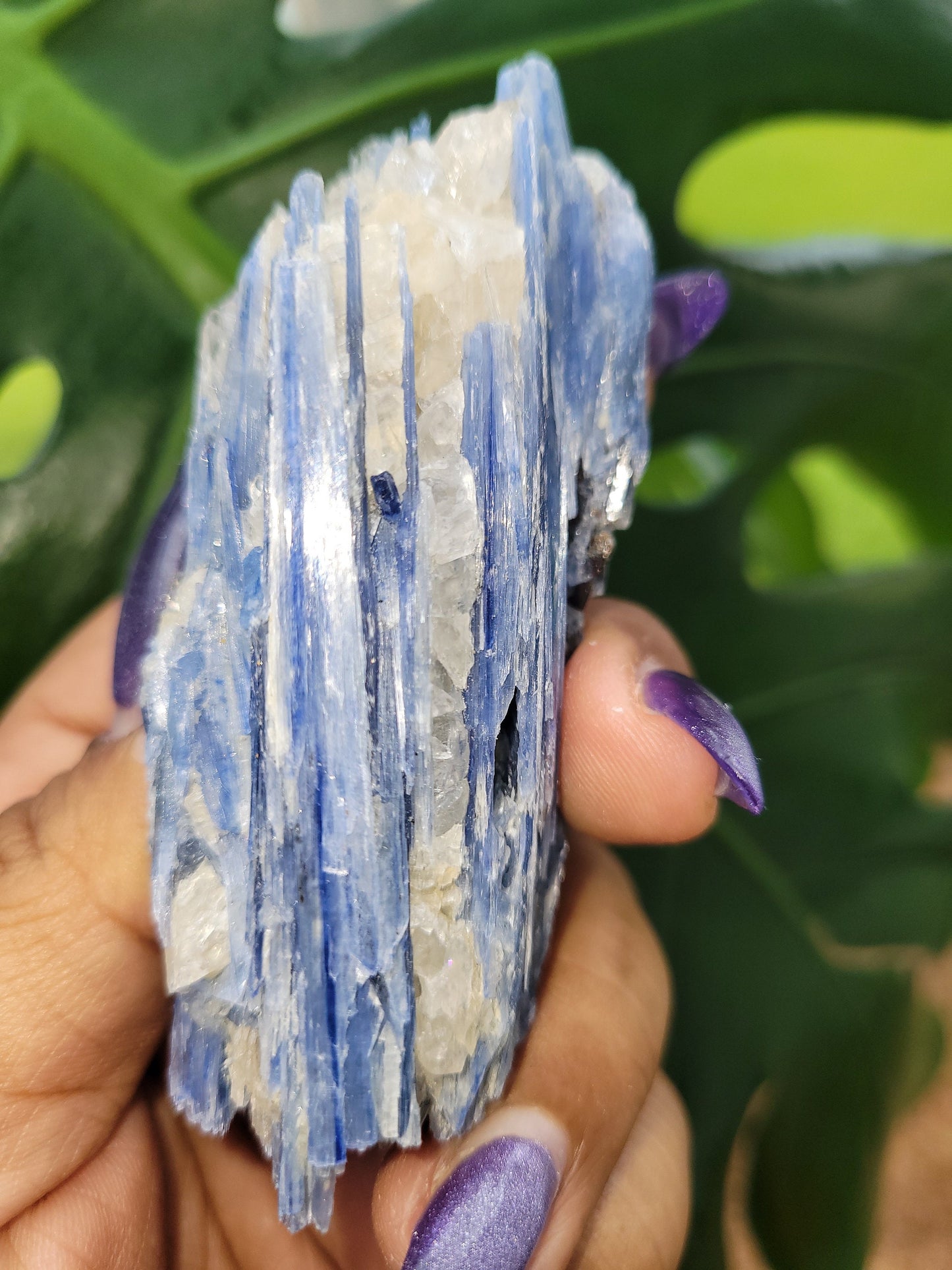Kyanite & Quartz Crystal - Raw Natural Mineral Specimen - Home Decor - Crystal Collector - Gift