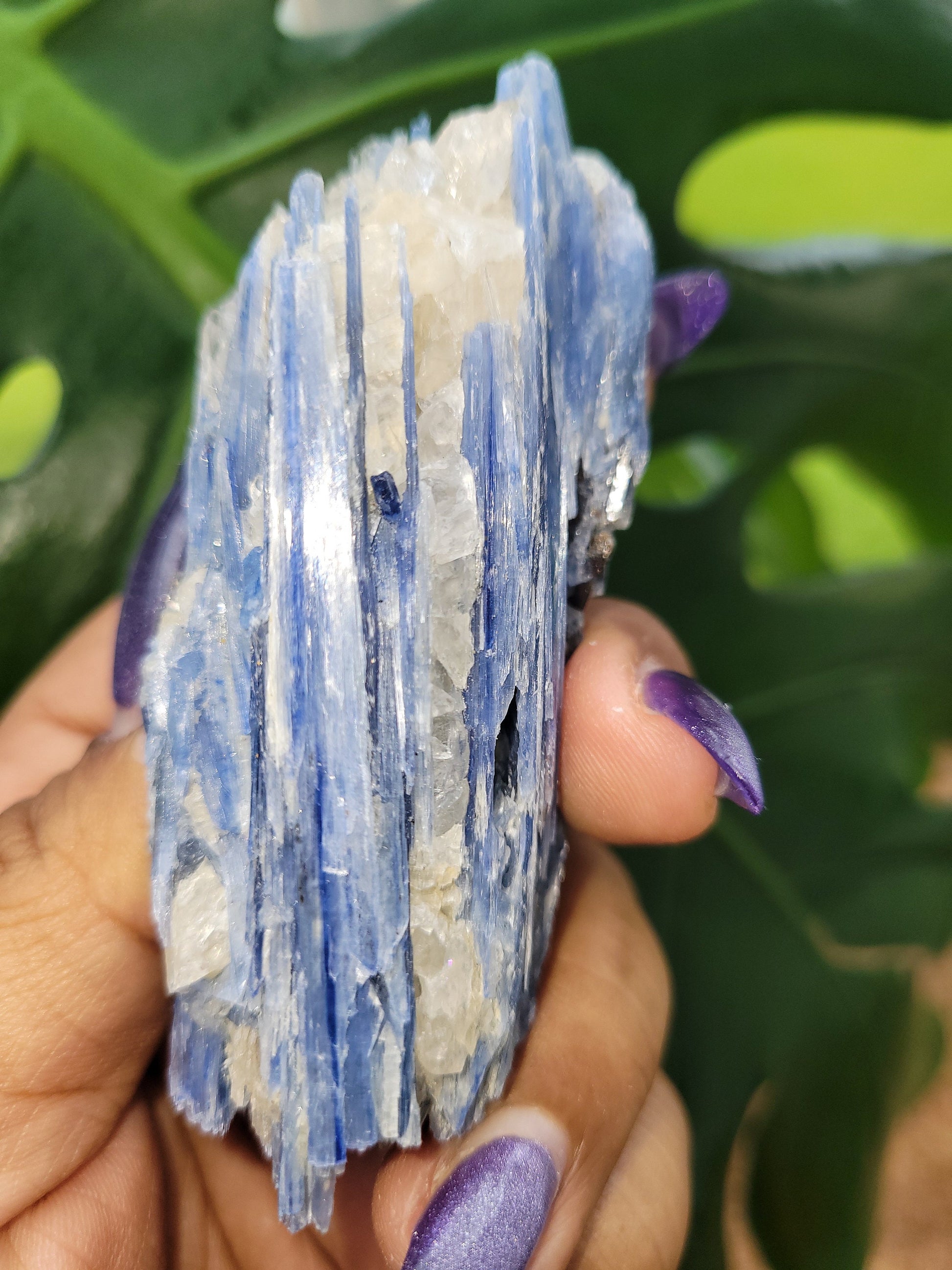 Kyanite & Quartz Crystal - Raw Natural Mineral Specimen - Home Decor - Crystal Collector - Gift
