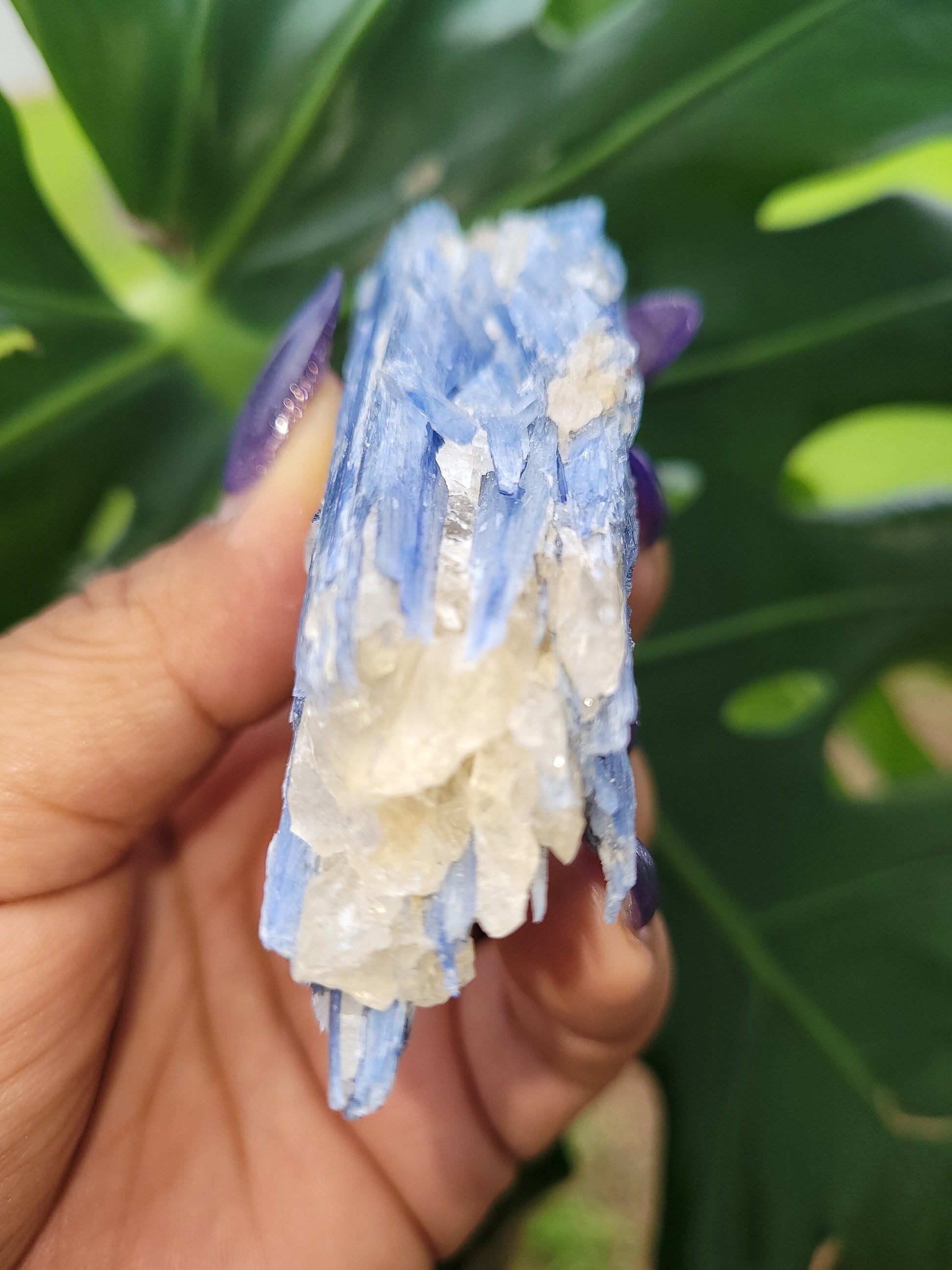Kyanite & Quartz Crystal - Raw Natural Mineral Specimen - Home Decor - Crystal Collector - Gift