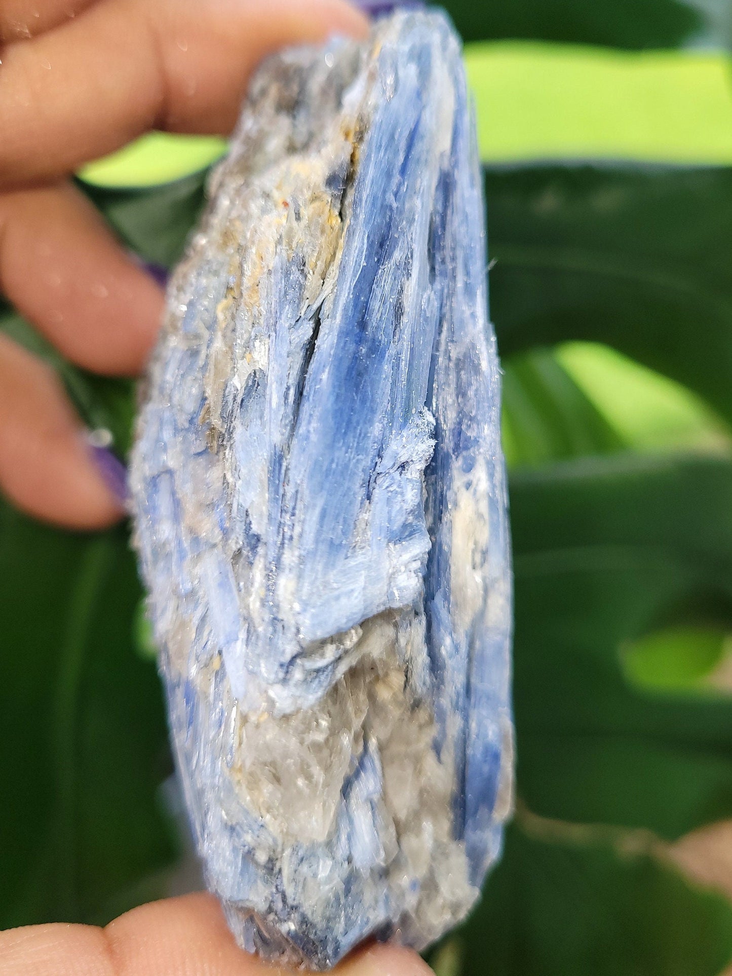 Kyanite & Quartz Crystal with Mica Inclusions - Raw Natural Mineral Specimen - Home Decor - Crystal Collector - Gift