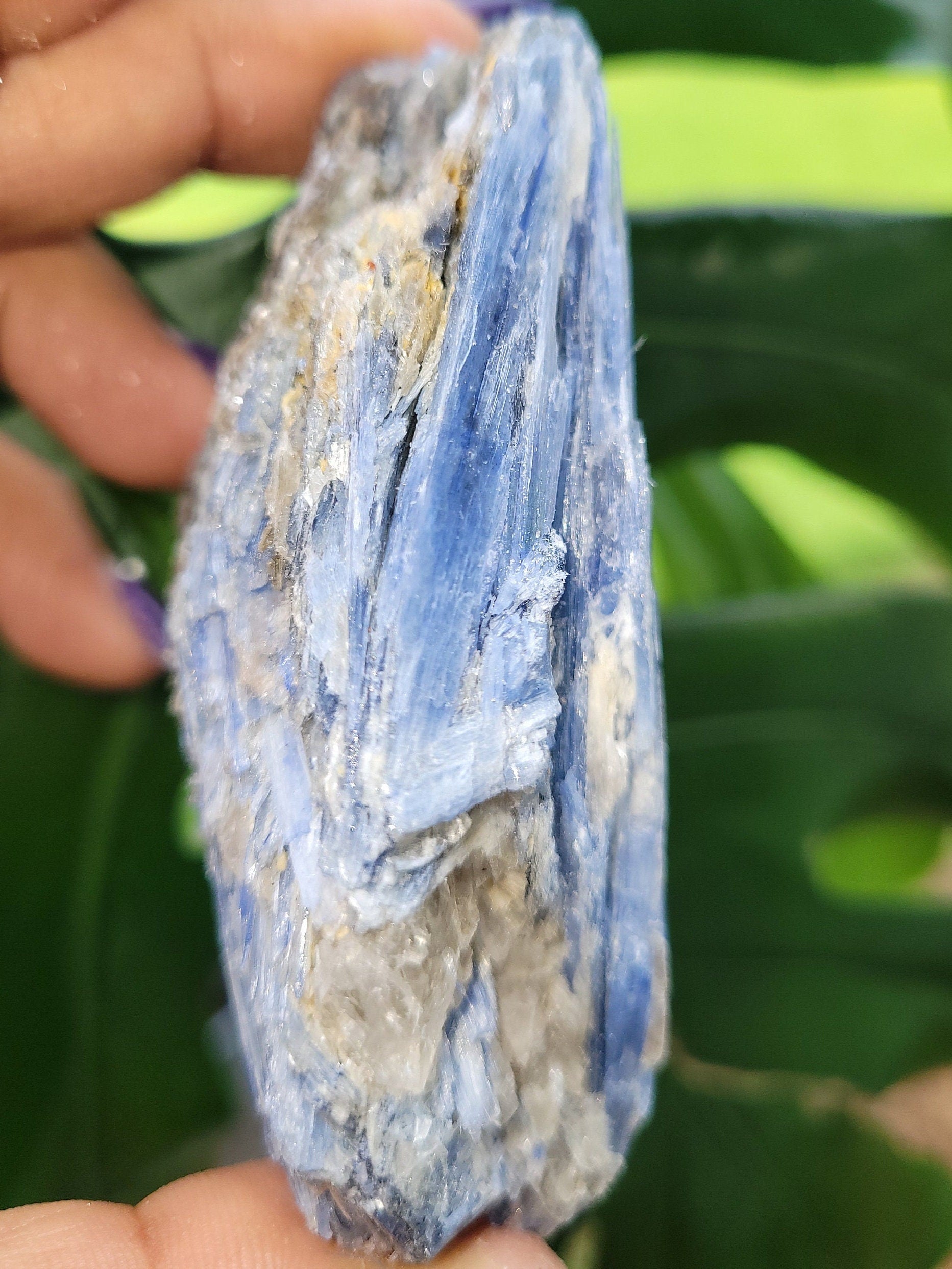 Kyanite & Quartz Crystal with Mica Inclusions - Raw Natural Mineral Specimen - Home Decor - Crystal Collector - Gift