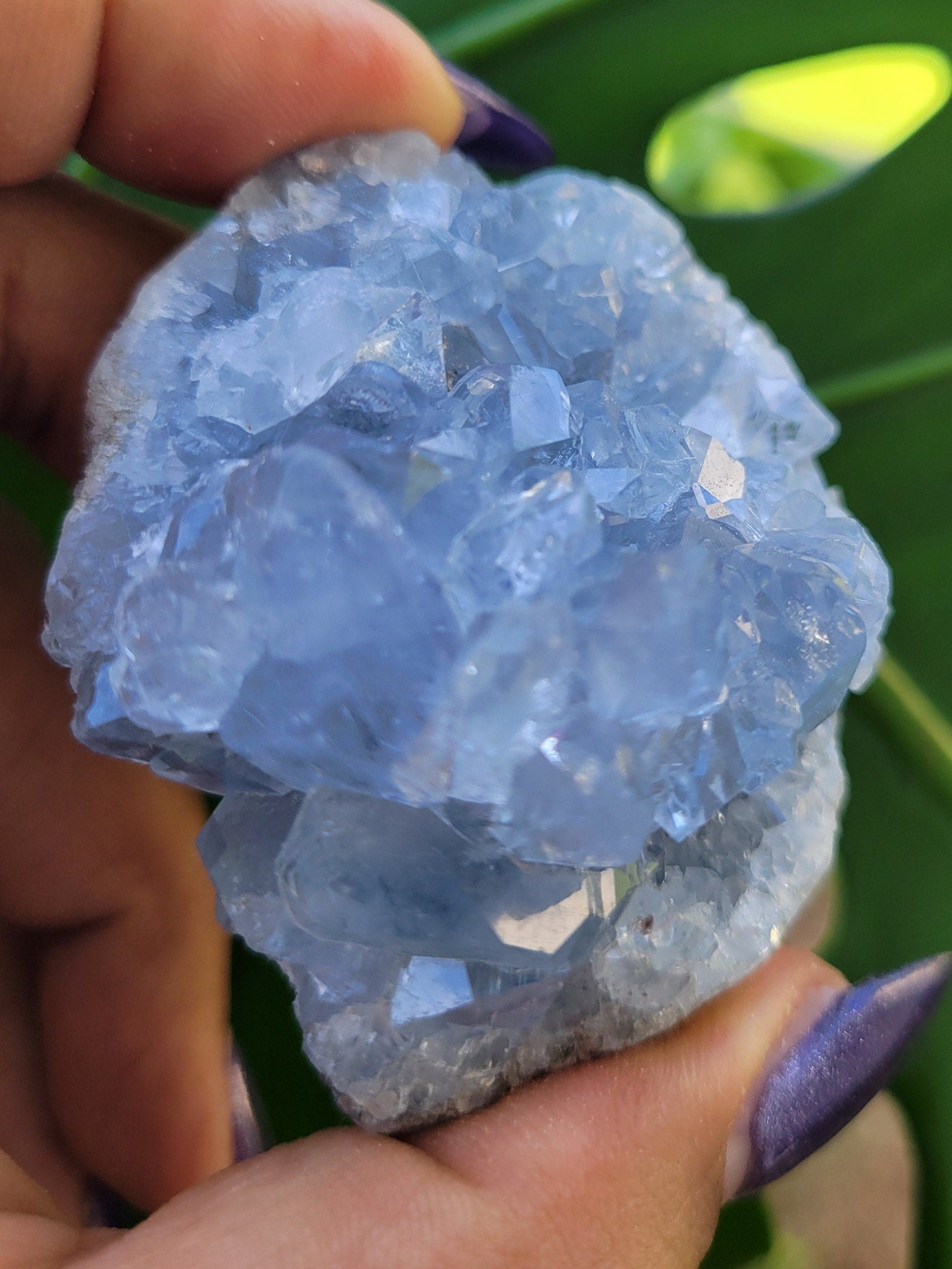 Celestite Crystal - Raw Natural Mineral Specimen - Home Decor - Crystal Collector - Gift
