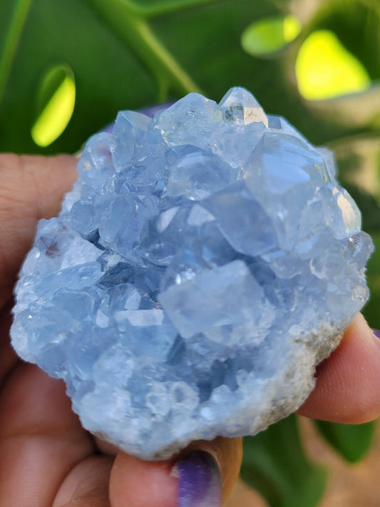 Celestite Crystal - Raw Natural Mineral Specimen - Home Decor - Crystal Collector - Gift