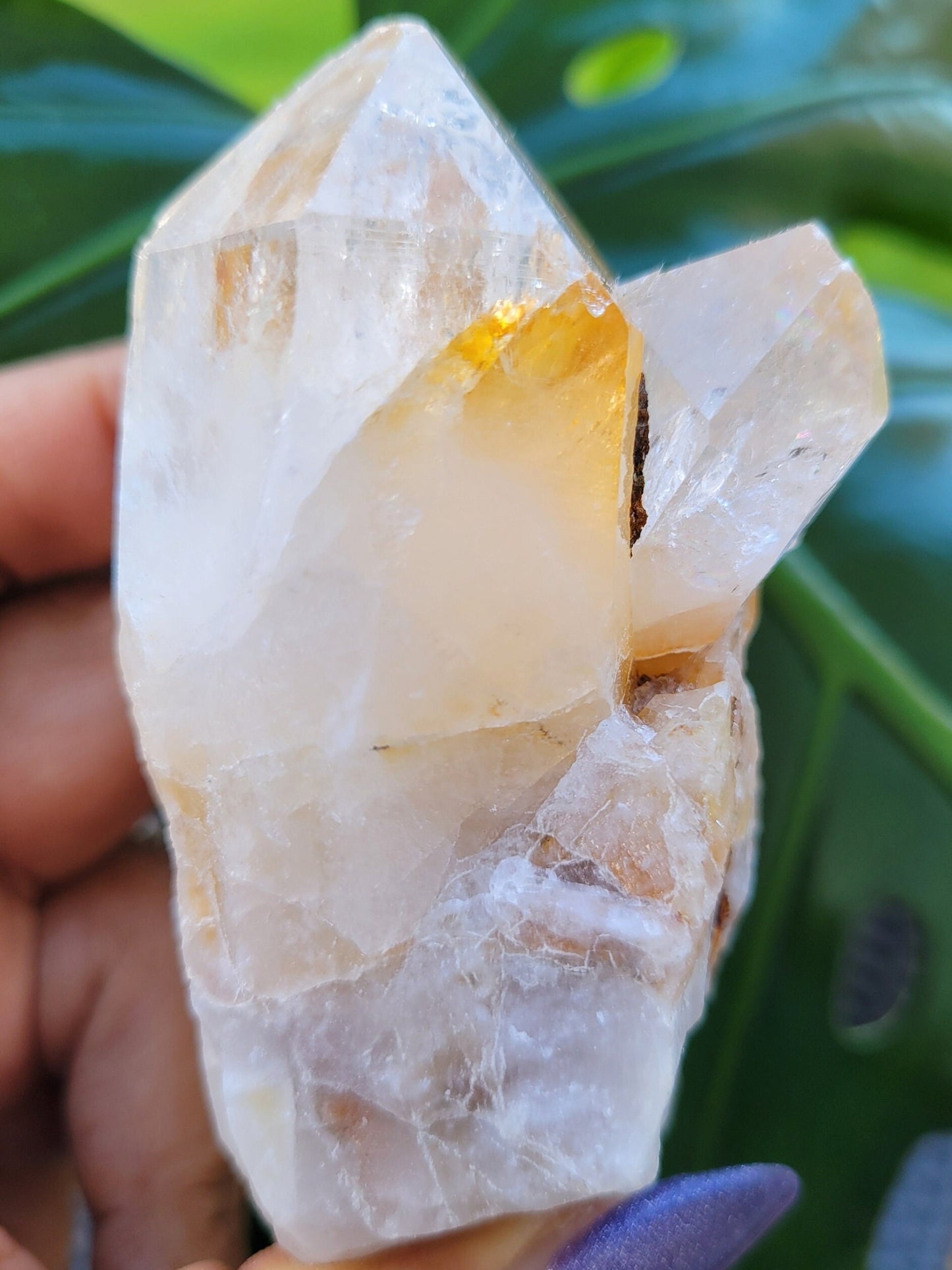 Lemurian Quartz Golden Healer Crystal Cluster from Arkansas | Crystal Collector | Birthday Christmas Gift Ideas | Home Decor