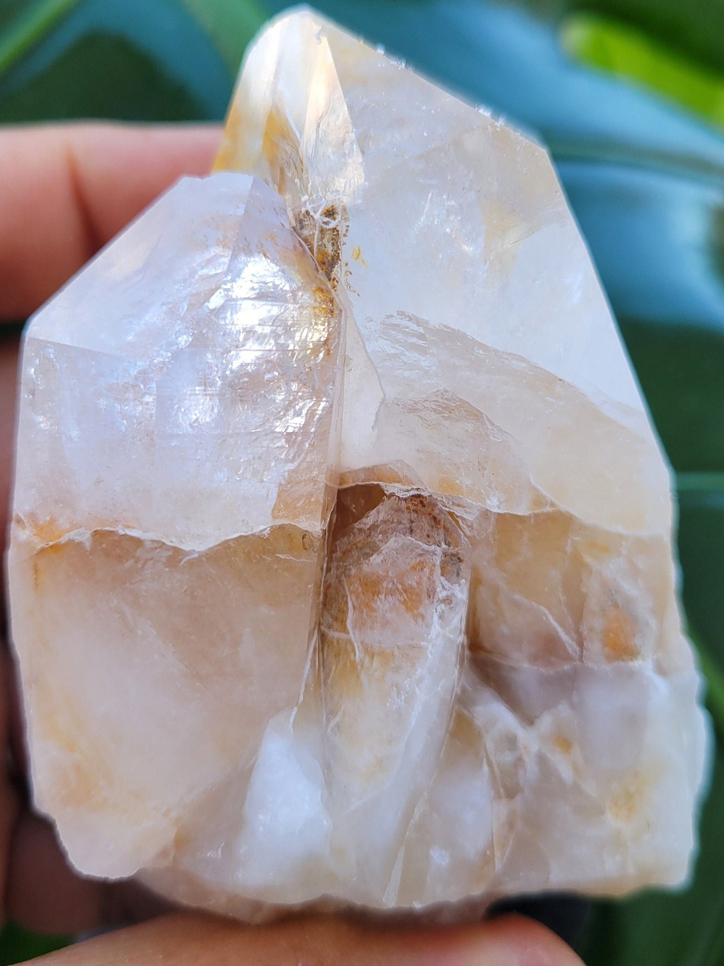 Lemurian Quartz Golden Healer Crystal Cluster from Arkansas | Crystal Collector | Birthday Christmas Gift Ideas | Home Decor