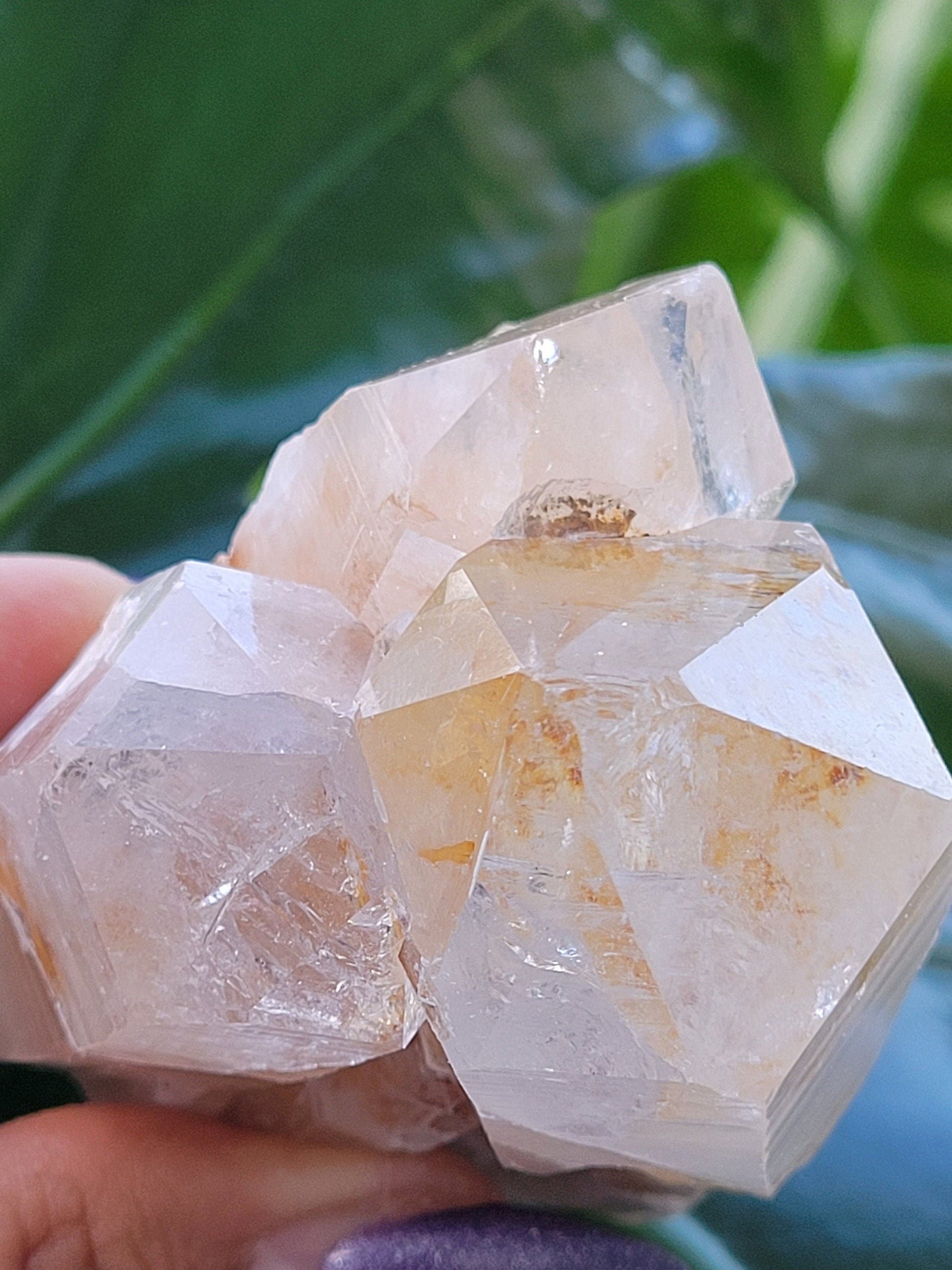 Lemurian Quartz Golden Healer Crystal Cluster from Arkansas | Crystal Collector | Birthday Christmas Gift Ideas | Home Decor