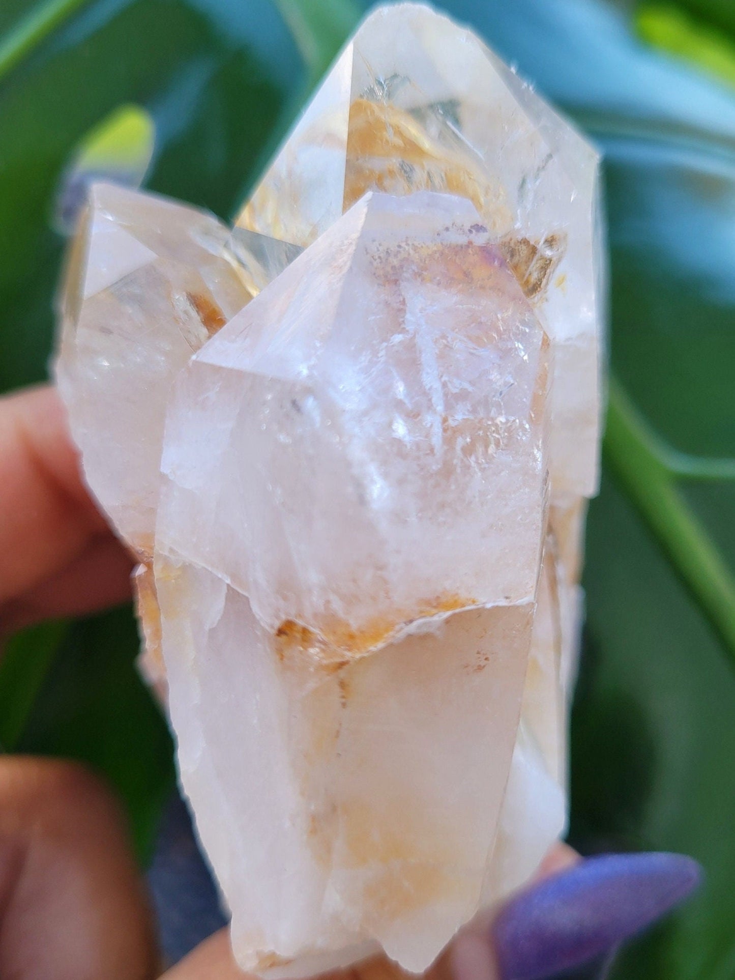 Lemurian Quartz Golden Healer Crystal Cluster from Arkansas | Crystal Collector | Birthday Christmas Gift Ideas | Home Decor