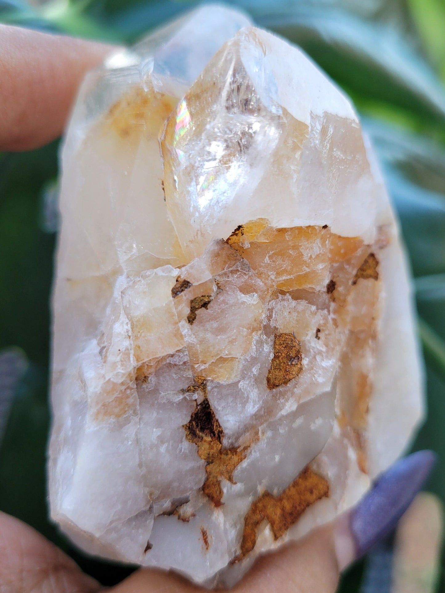 Lemurian Quartz Golden Healer Crystal Cluster from Arkansas | Crystal Collector | Birthday Christmas Gift Ideas | Home Decor