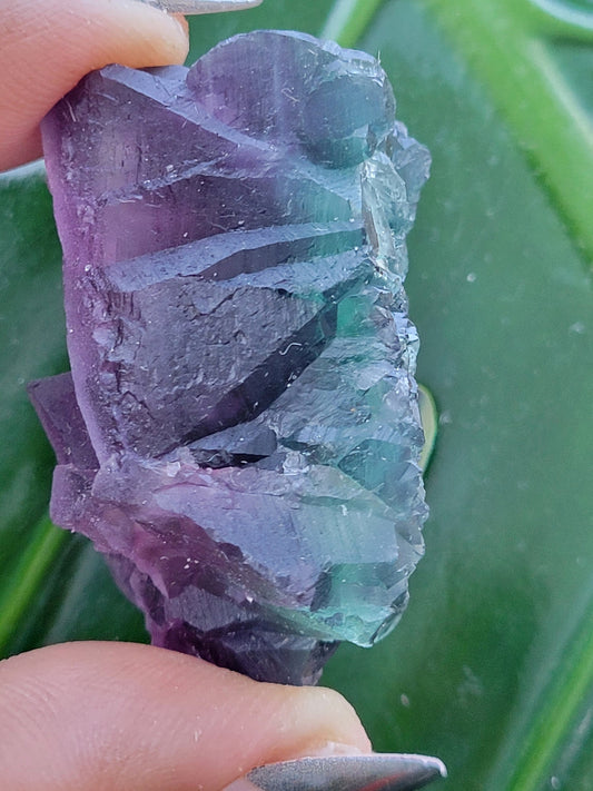 Beautiful Fluorite Crystal - Purple - Green - Crystal Collector - Home Decor - Gift