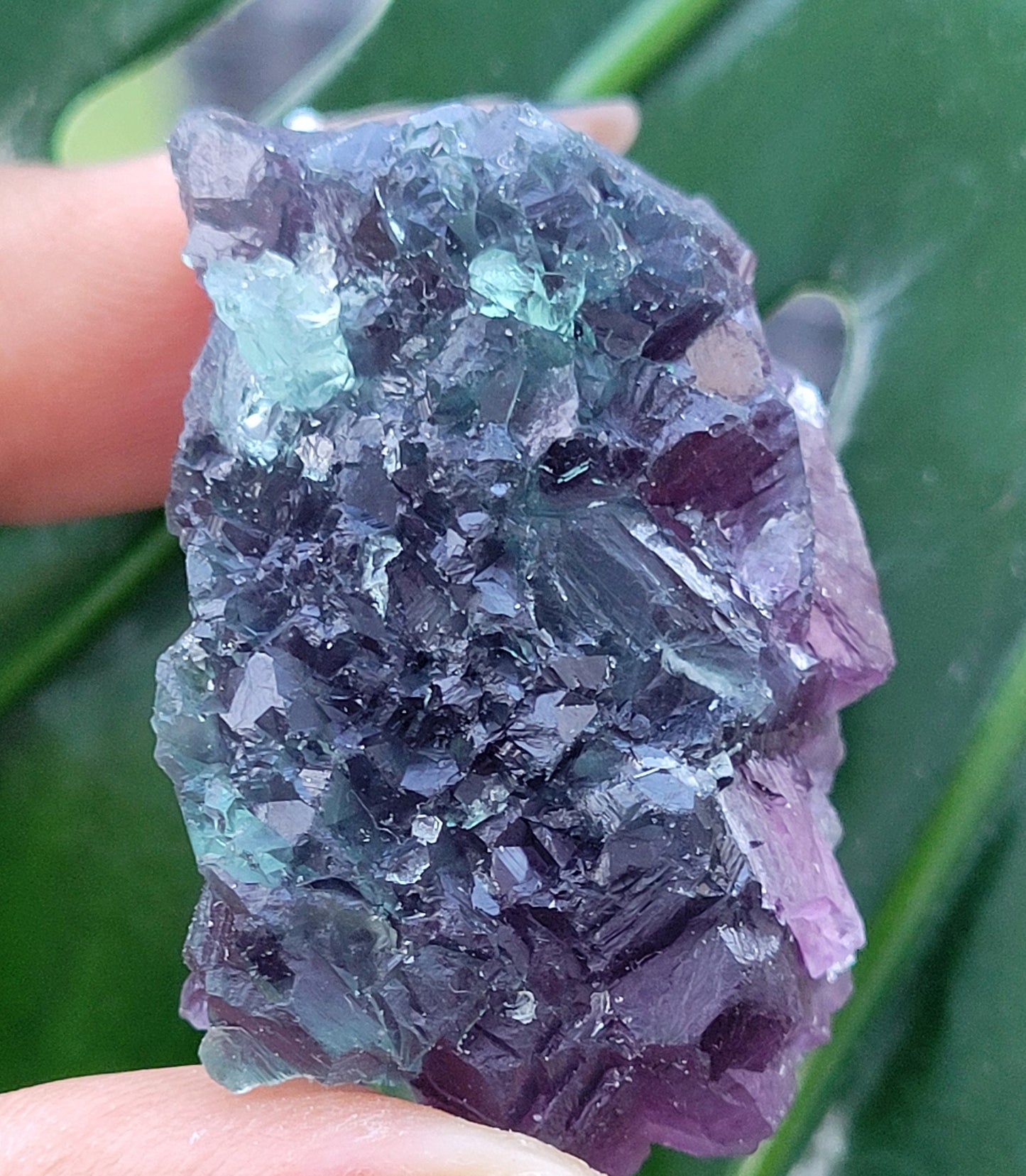 Beautiful Fluorite Crystal - Purple - Green - Crystal Collector - Home Decor - Gift