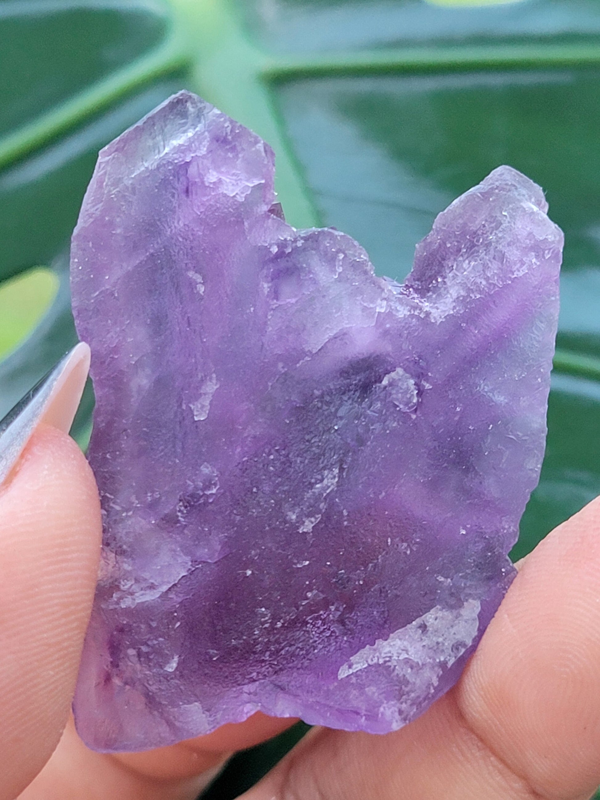 Beautiful Fluorite Specimen | Purple |Crystal Collector | Home Decor | Gift Ideas for Birthday Christmas Love | The Genius Stone