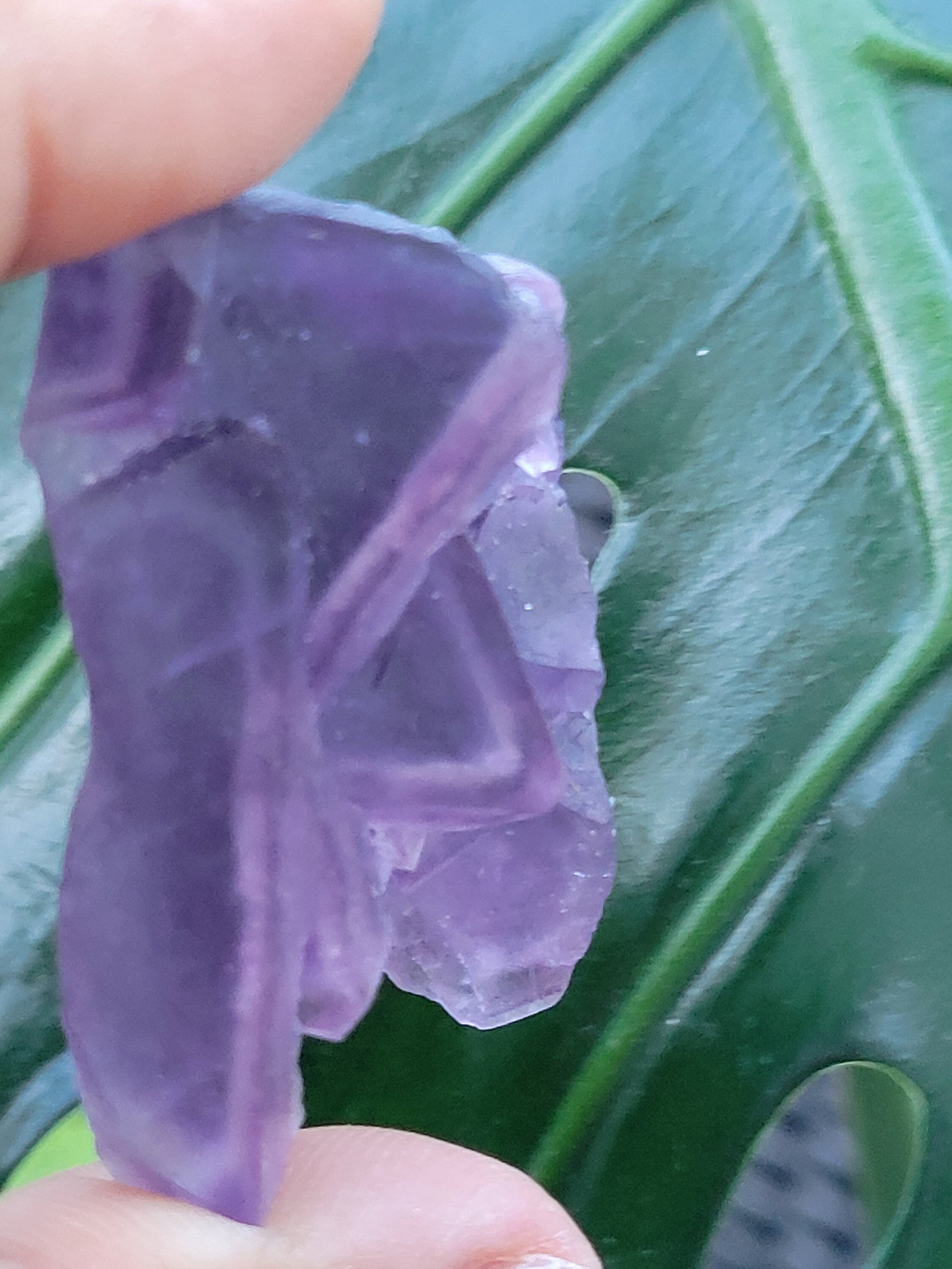 Beautiful Fluorite Specimen | Purple |Crystal Collector | Home Decor | Gift Ideas for Birthday Christmas Love | The Genius Stone