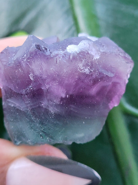 Beautiful Fluorite Specimen | Bicolor Purple & Green | Crystal Collector | Home Decor | Gift Ideas Birthday Christmas Love | Genius Stone