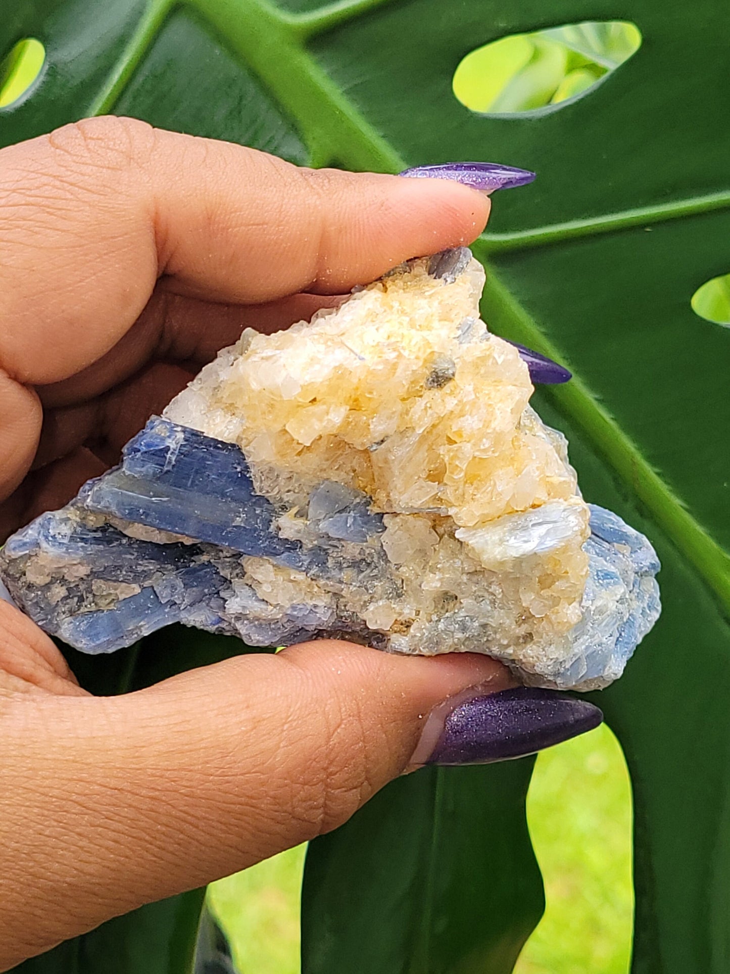 Kyanite & Quartz Crystal - Raw Natural Mineral Specimen - Home Decor - Crystal Collector - Gift
