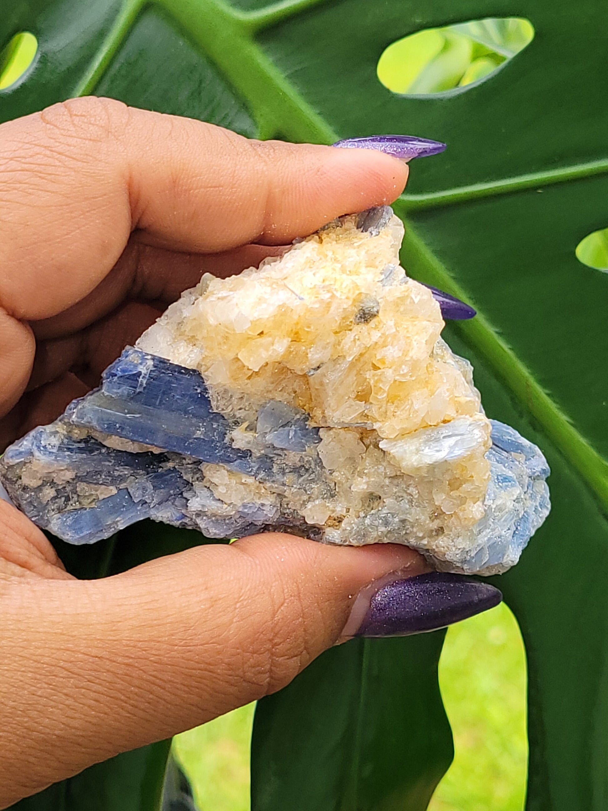 Kyanite & Quartz Crystal - Raw Natural Mineral Specimen - Home Decor - Crystal Collector - Gift