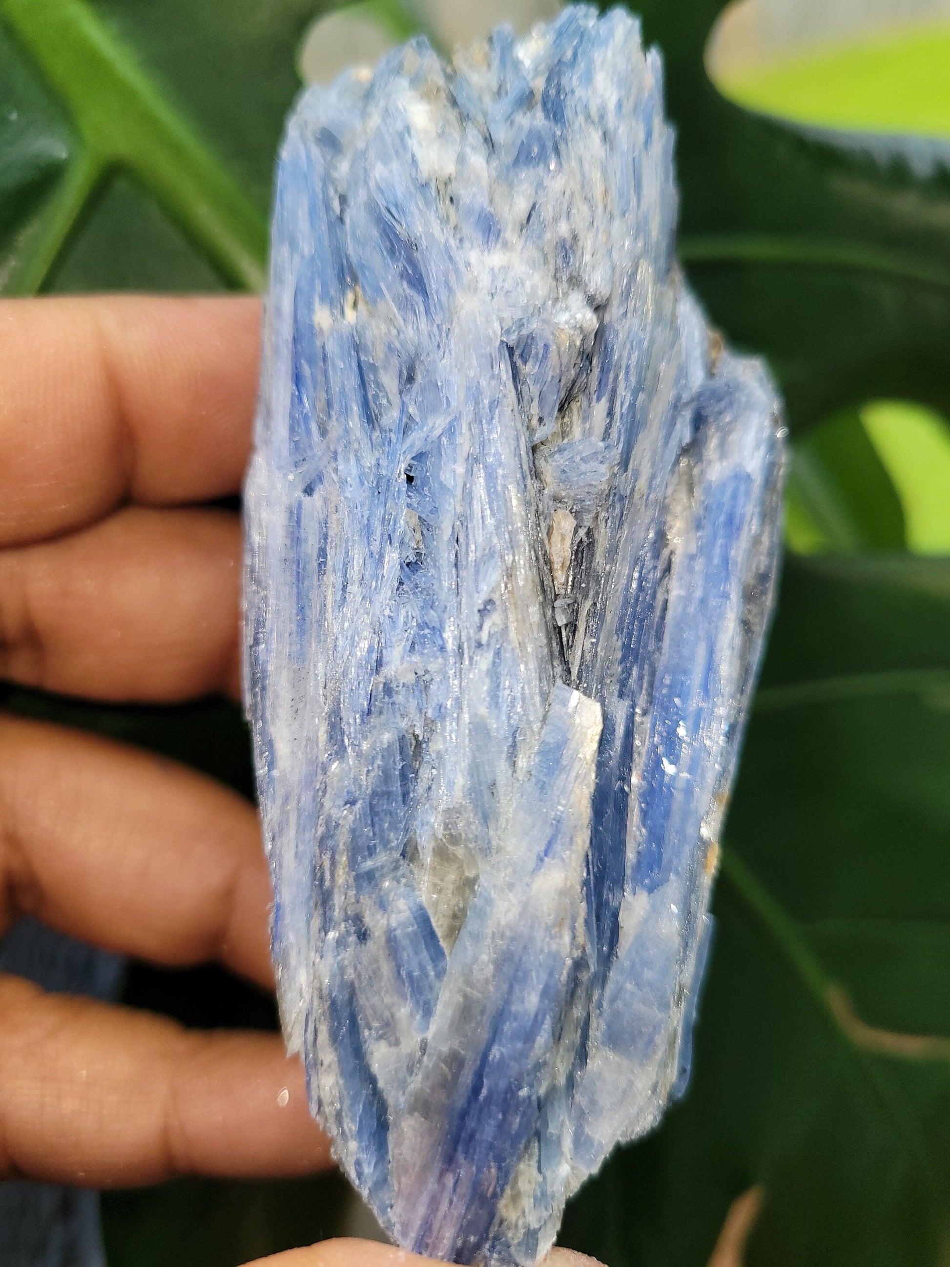 Kyanite & Quartz Crystal with Mica Inclusions - Raw Natural Mineral Specimen - Home Decor - Crystal Collector - Gift