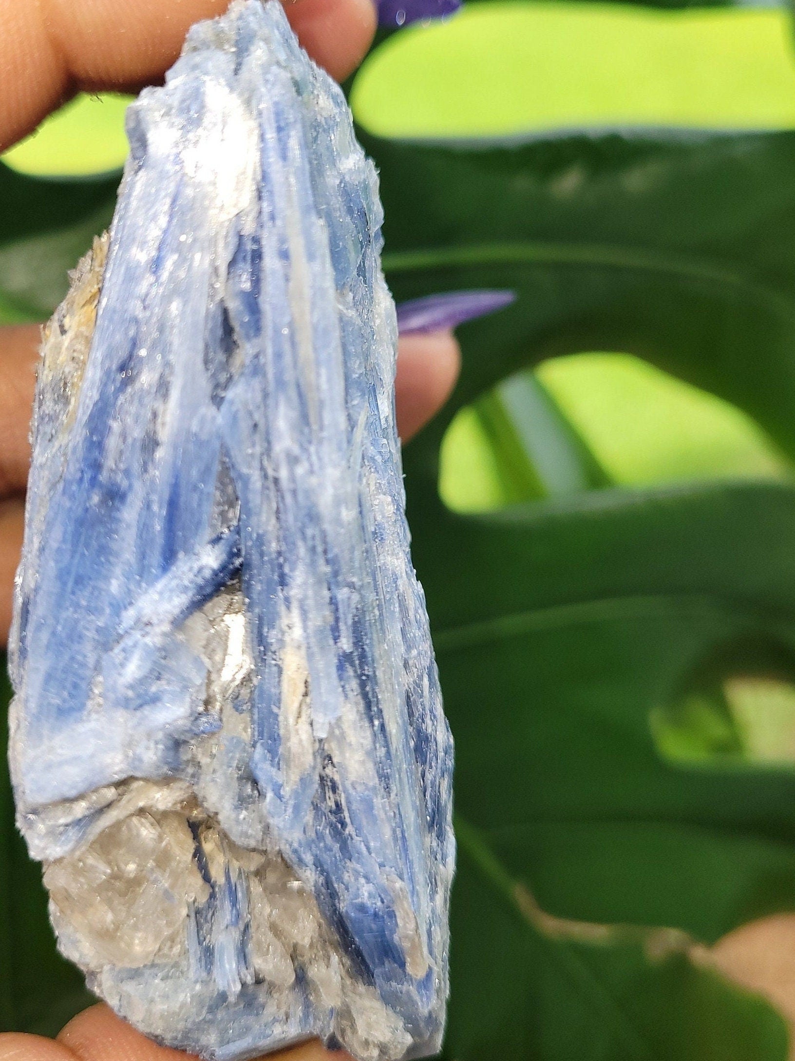 Kyanite & Quartz Crystal with Mica Inclusions - Raw Natural Mineral Specimen - Home Decor - Crystal Collector - Gift