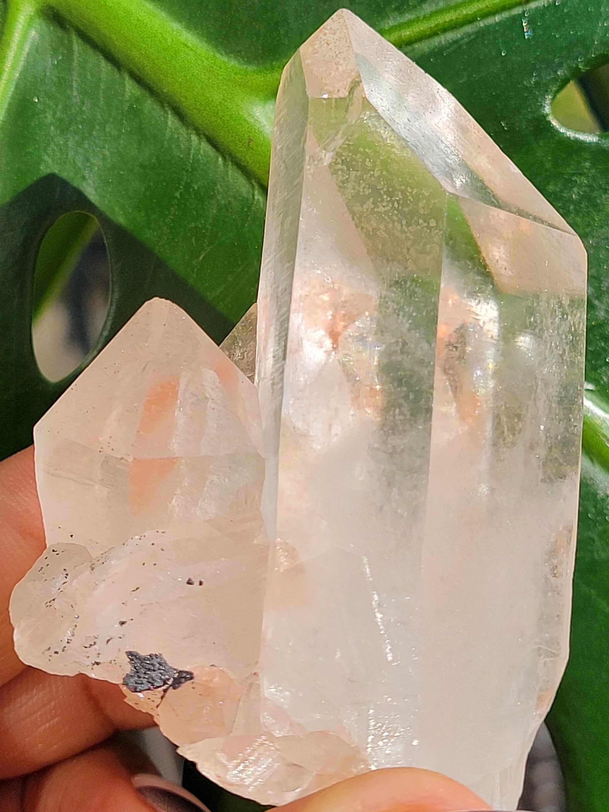 RARE Stunning Pink Himalayan Quartz Cluster from the Himalayan Mountains | Black Hematite Inclusion | Crystal Collector | Gift | Home Decor