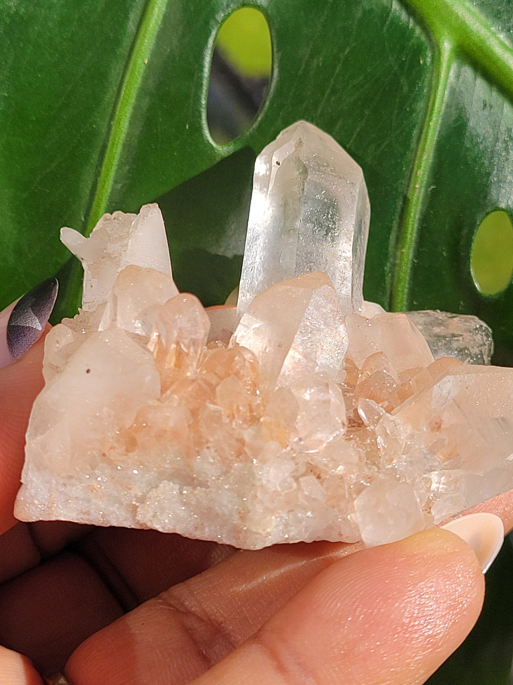 Stunning Pink Himalayan Quartz Cluster from the Himalayan Mountains|Crystal Collector|Birthday Valentines Day Love Gift Ideas | Home Decor