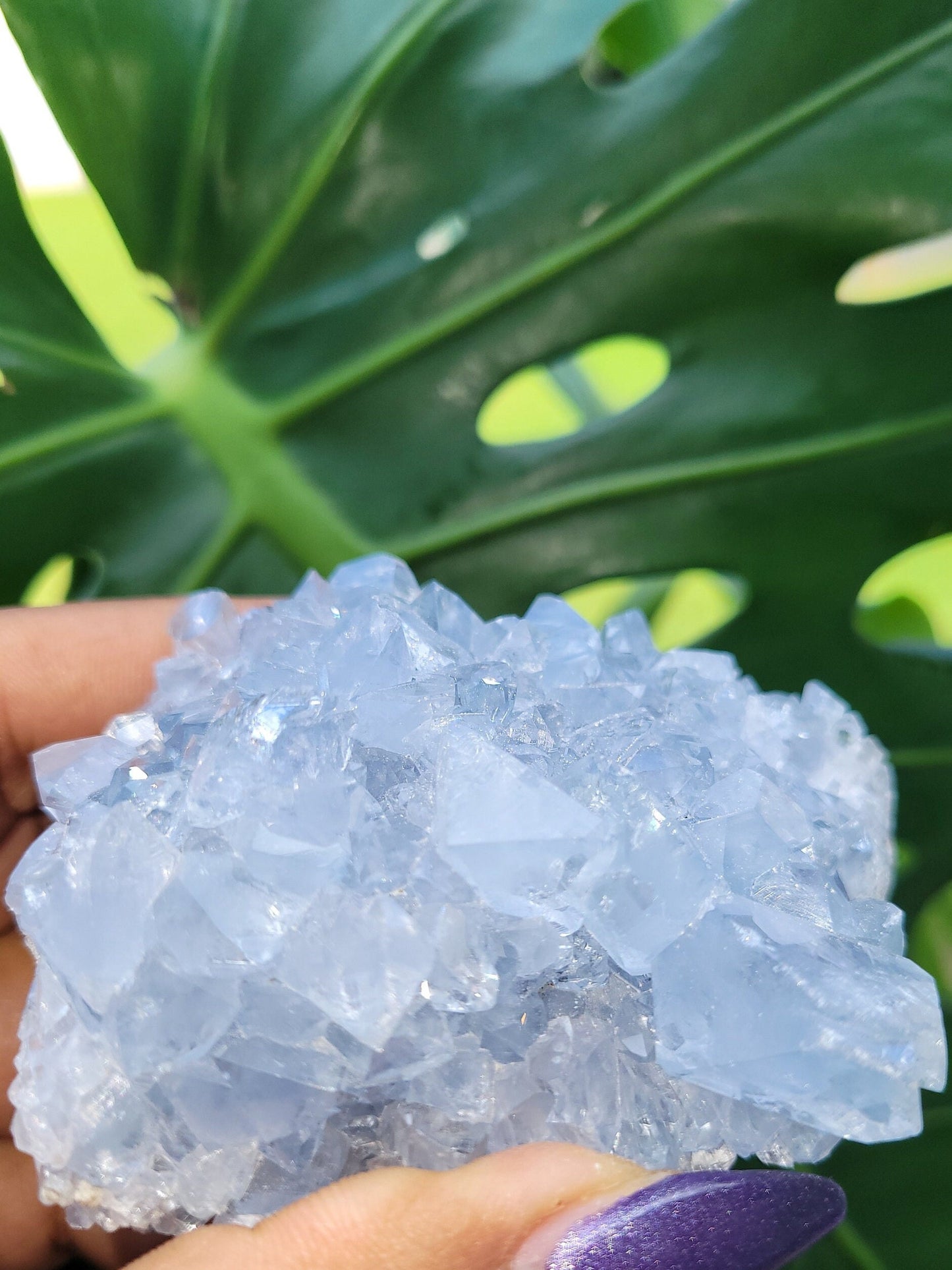 Beautiful Celestite Crystal - Raw Natural Mineral Specimen - Home Decor - Crystal Collector - Gift - Madagascar