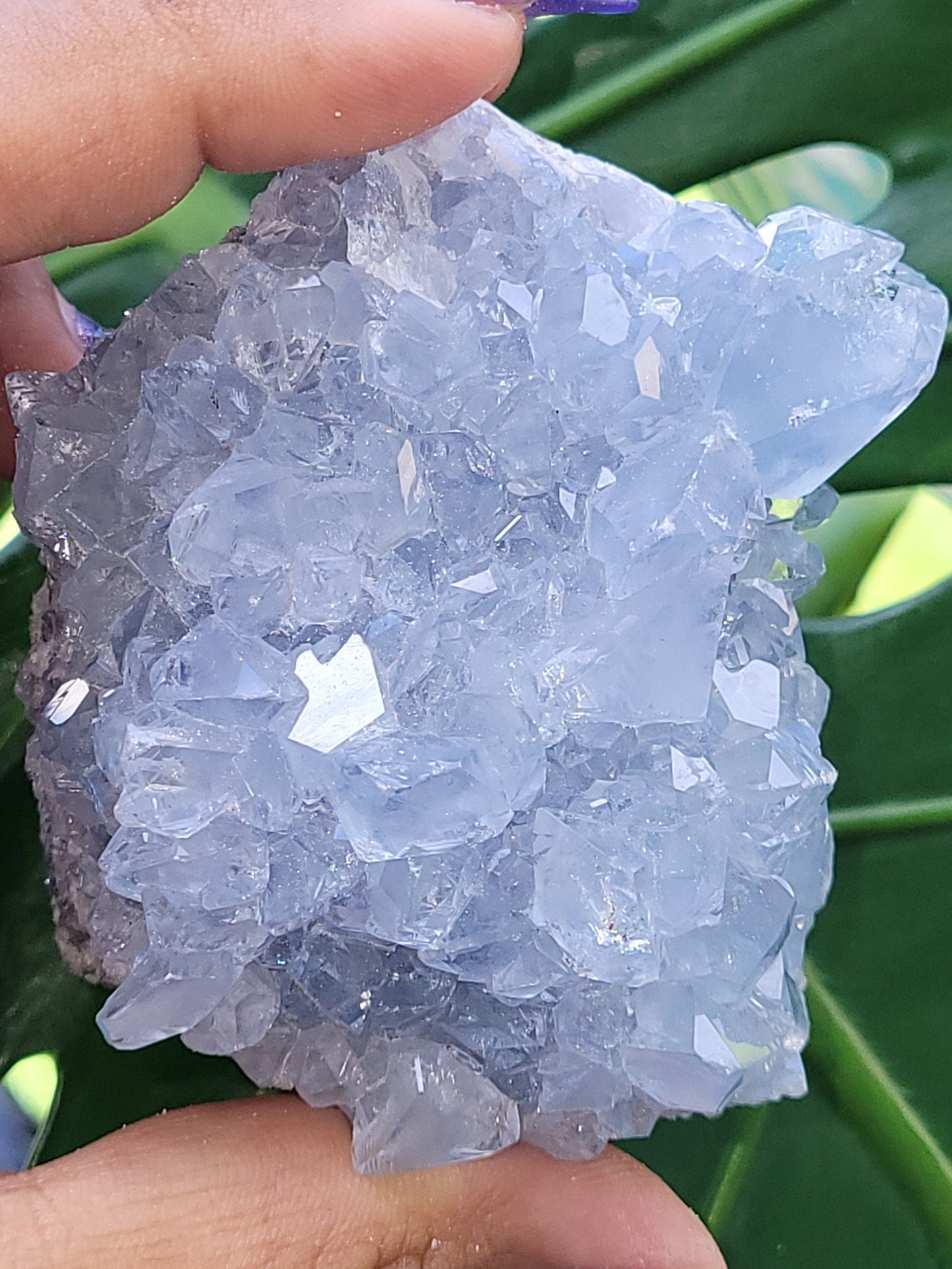 Beautiful Celestite Crystal - Raw Natural Mineral Specimen - Home Decor - Crystal Collector - Gift - Madagascar