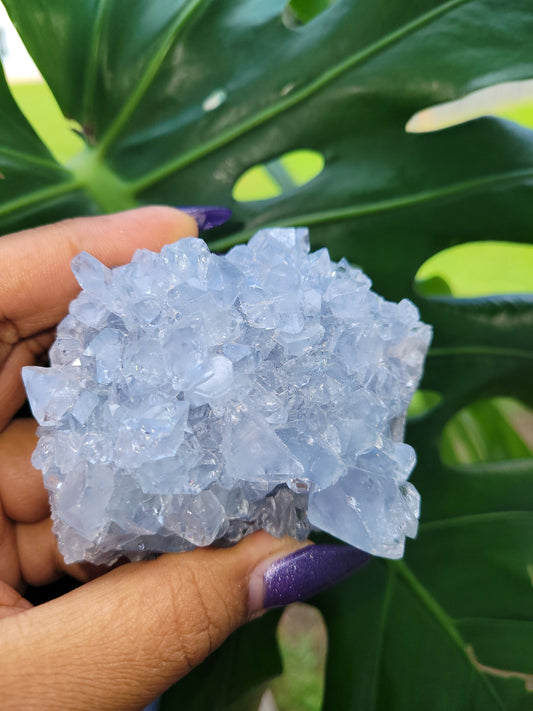 Beautiful Celestite Crystal - Raw Natural Mineral Specimen - Home Decor - Crystal Collector - Gift - Madagascar