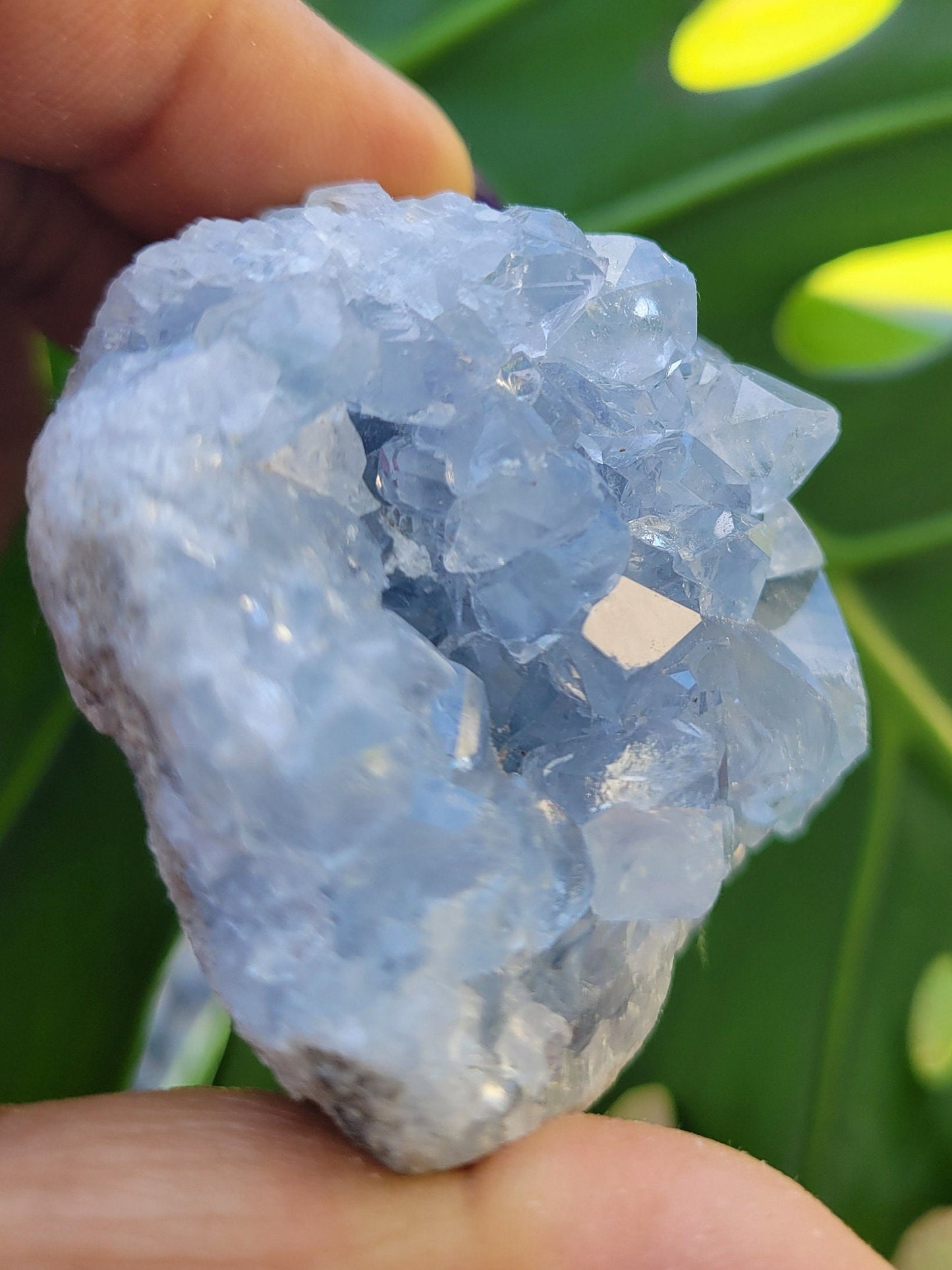 Celestite Crystal - Raw Natural Mineral Specimen - Home Decor - Crystal Collector - Gift
