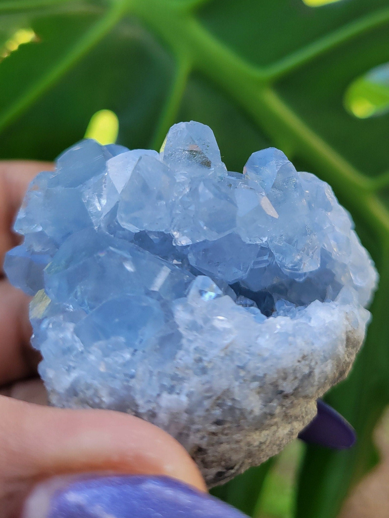 Celestite Crystal - Raw Natural Mineral Specimen - Home Decor - Crystal Collector - Gift