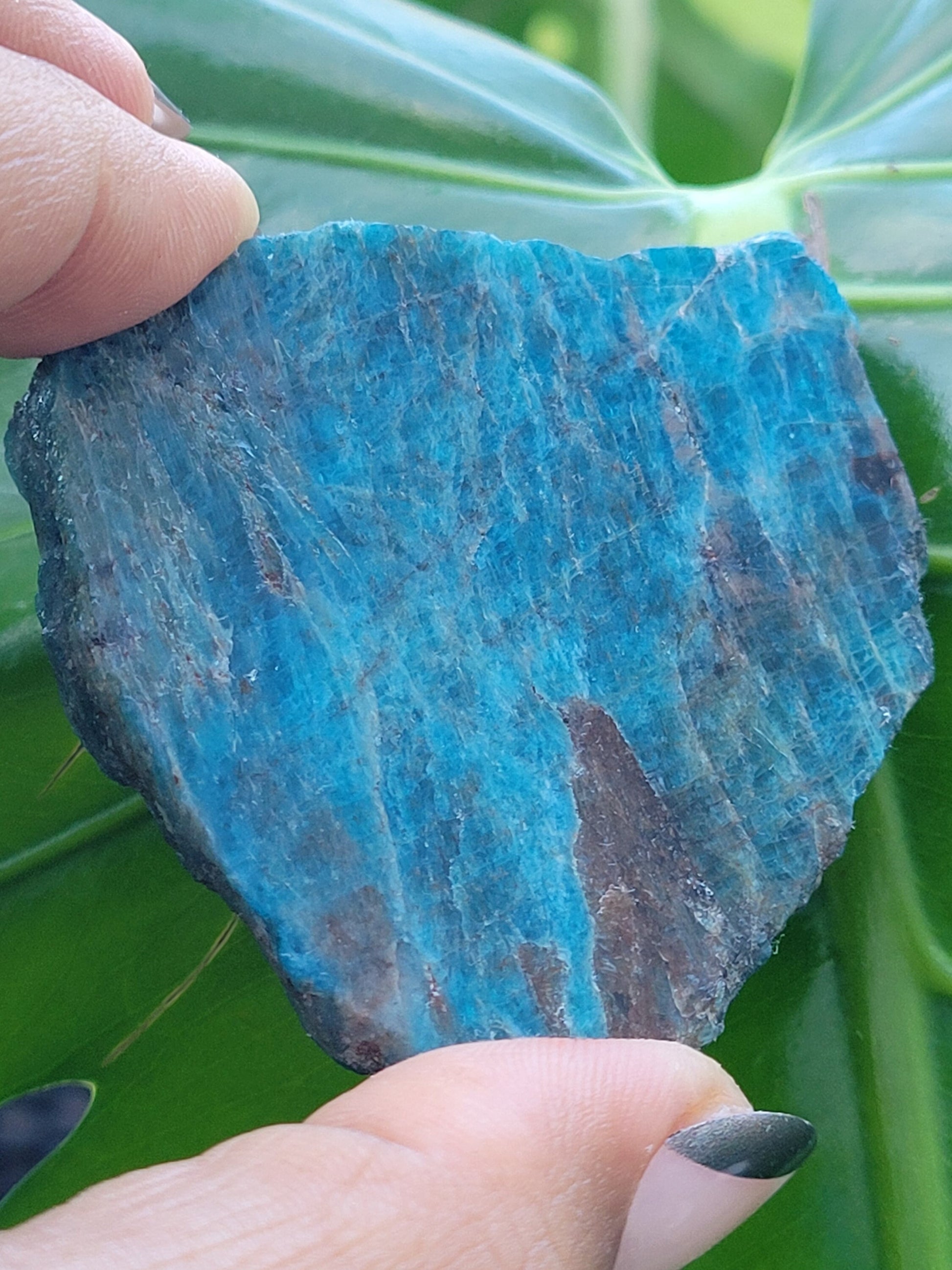 Gorgeous Apatite Crystal | Front Polished Mini Slab | Crystal Collector | Home Decor and Crafts | Gift Ideas | Intuitively Picked | Blue
