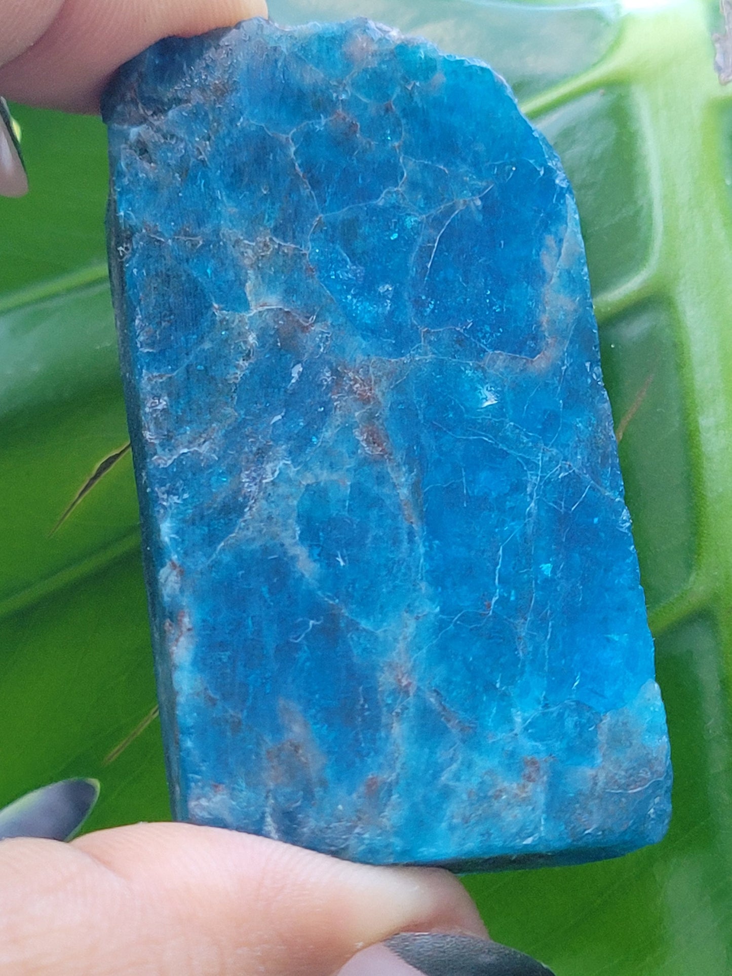 Gorgeous Apatite Crystal | Front Polished Mini Slab | Crystal Collector | Home Decor and Crafts | Gift Ideas | Intuitively Picked | Blue