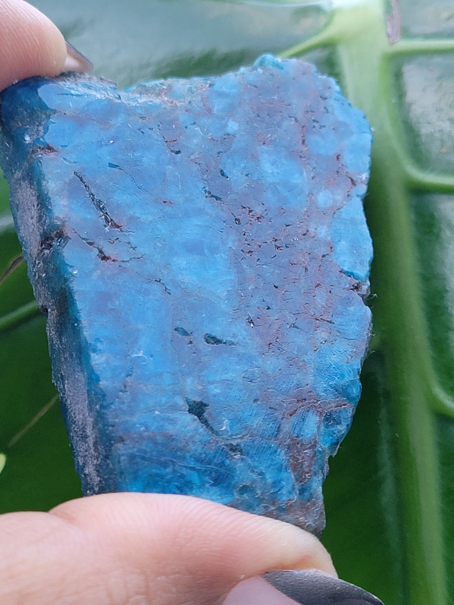 Gorgeous Apatite Crystal | Front Polished Mini Slab | Crystal Collector | Home Decor and Crafts | Gift Ideas | Intuitively Picked | Blue