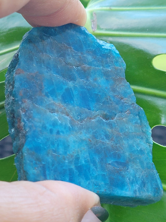 Gorgeous Apatite Crystal | Front Polished Mini Slab | Crystal Collector | Home Decor and Crafts | Gift Ideas | Intuitively Picked | Blue